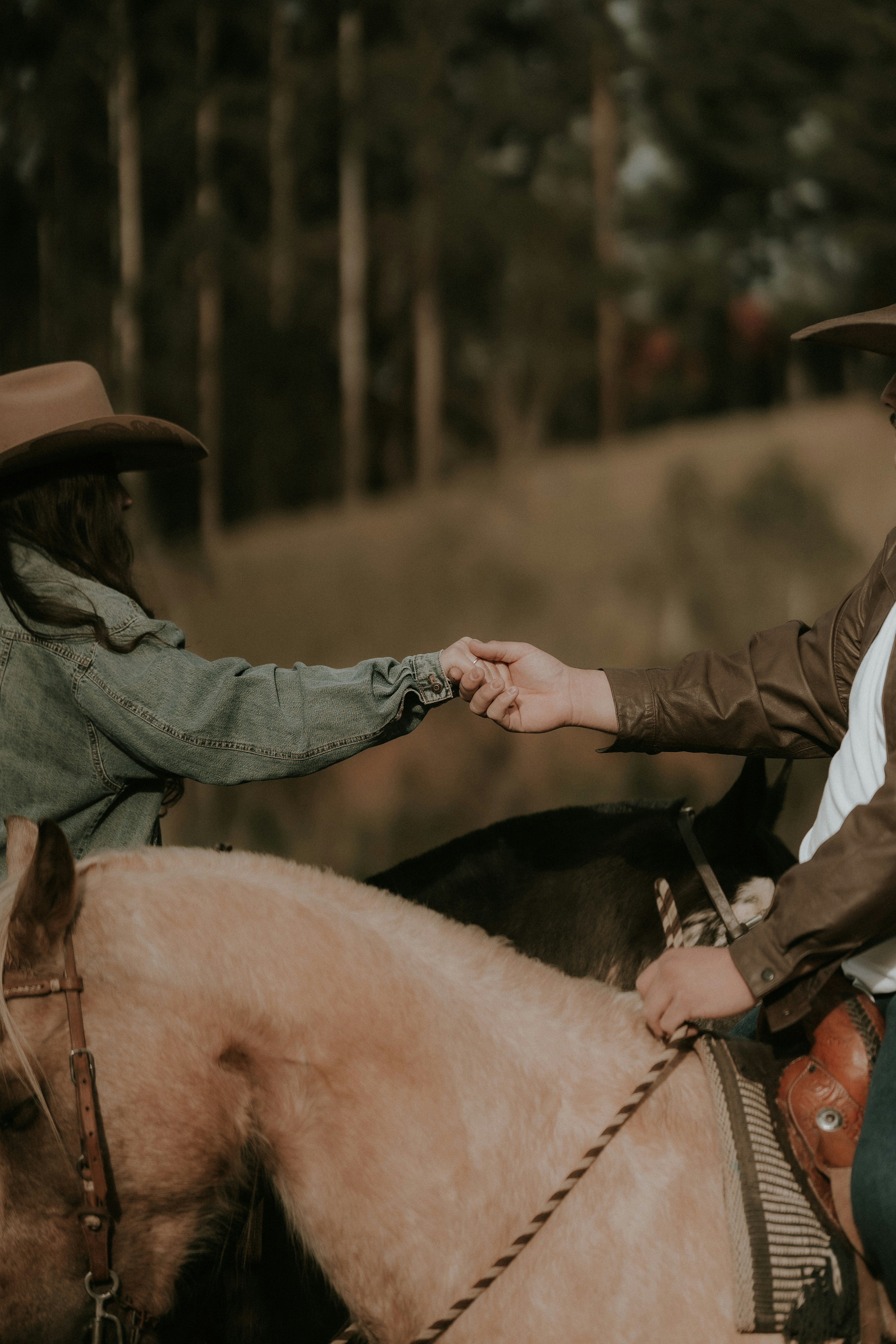 Couple holding hands while riding horses