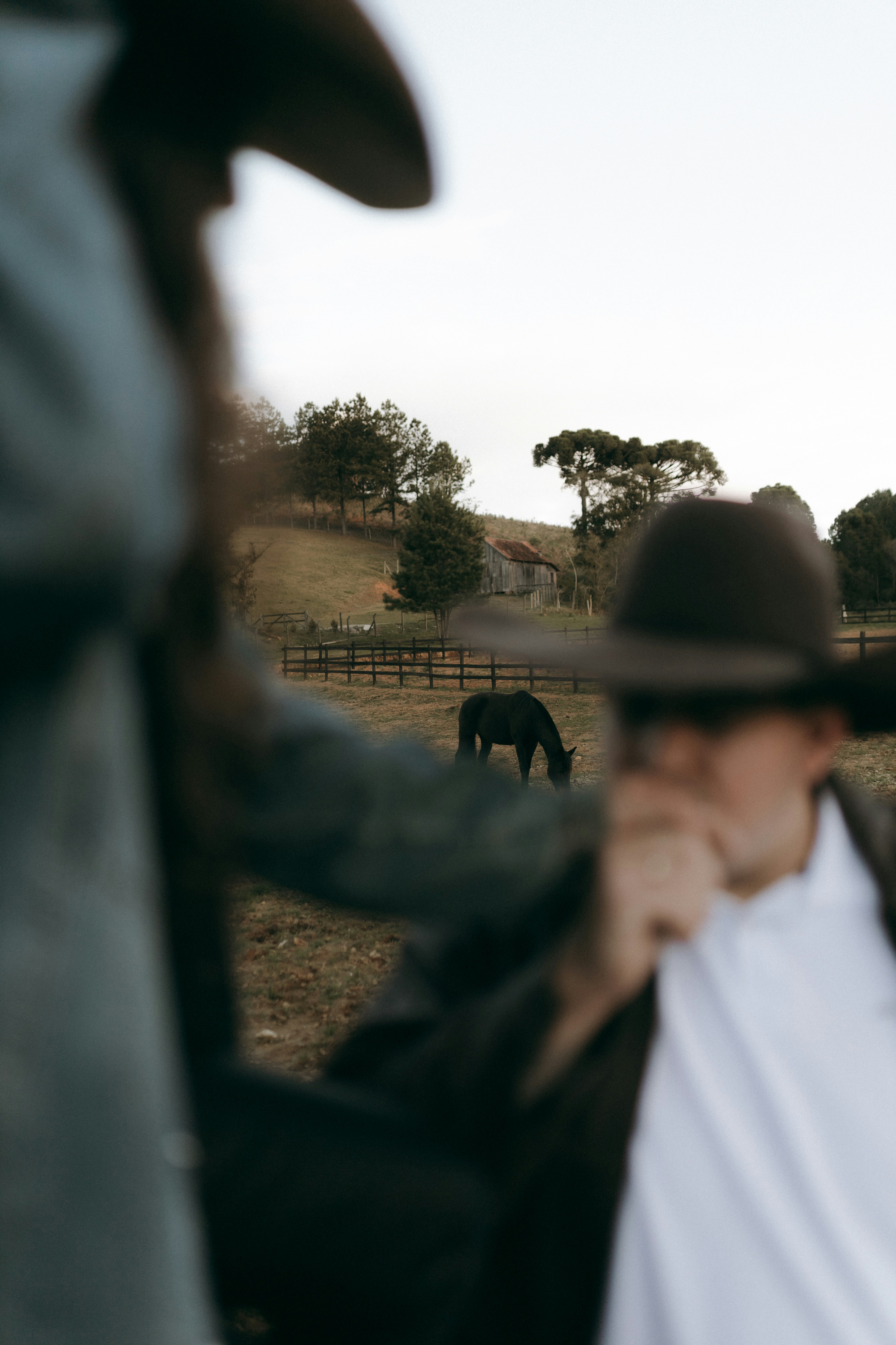 Cowboy and horse in a rural field at sunset