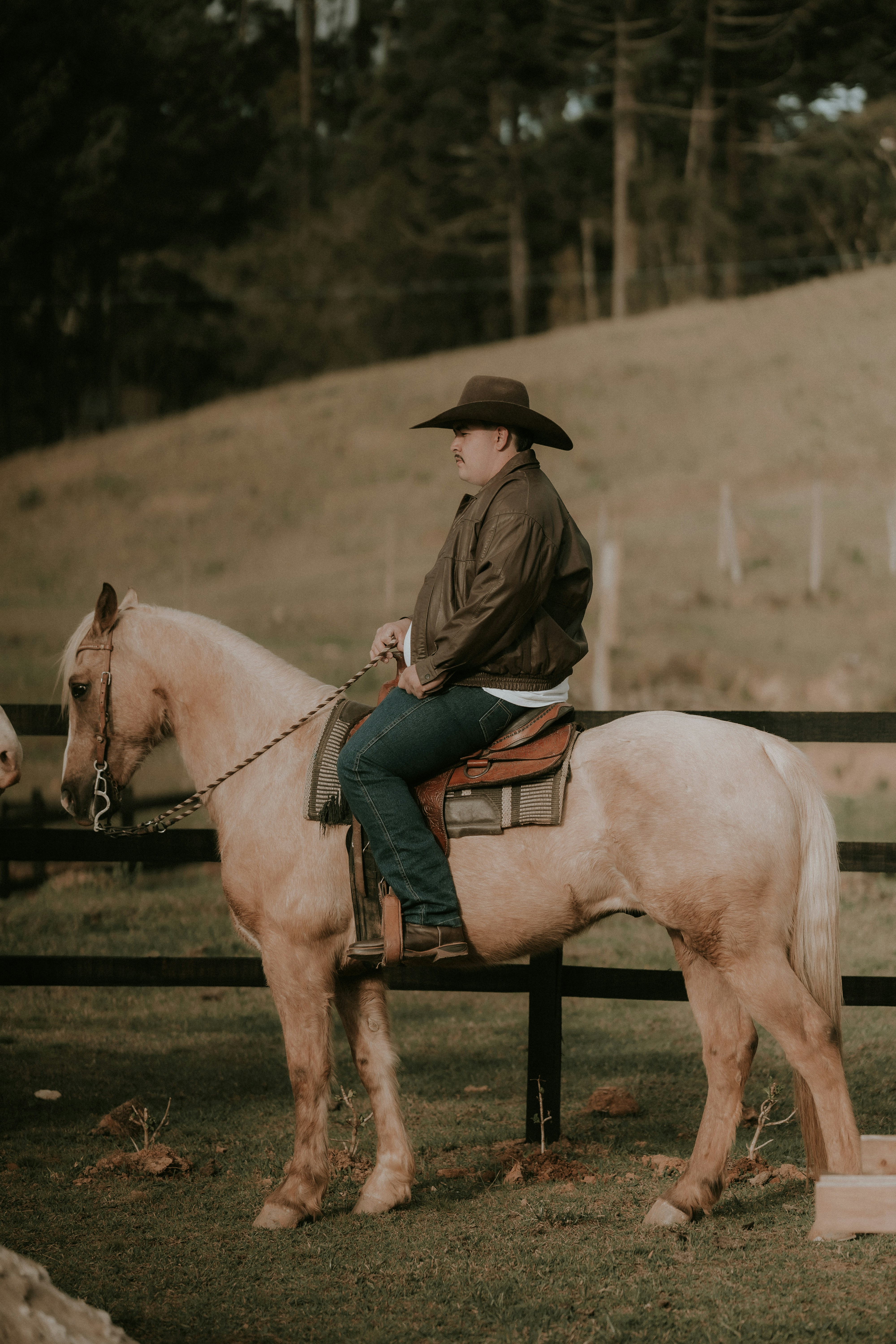 Man in cowboy hat riding a light-colored horse