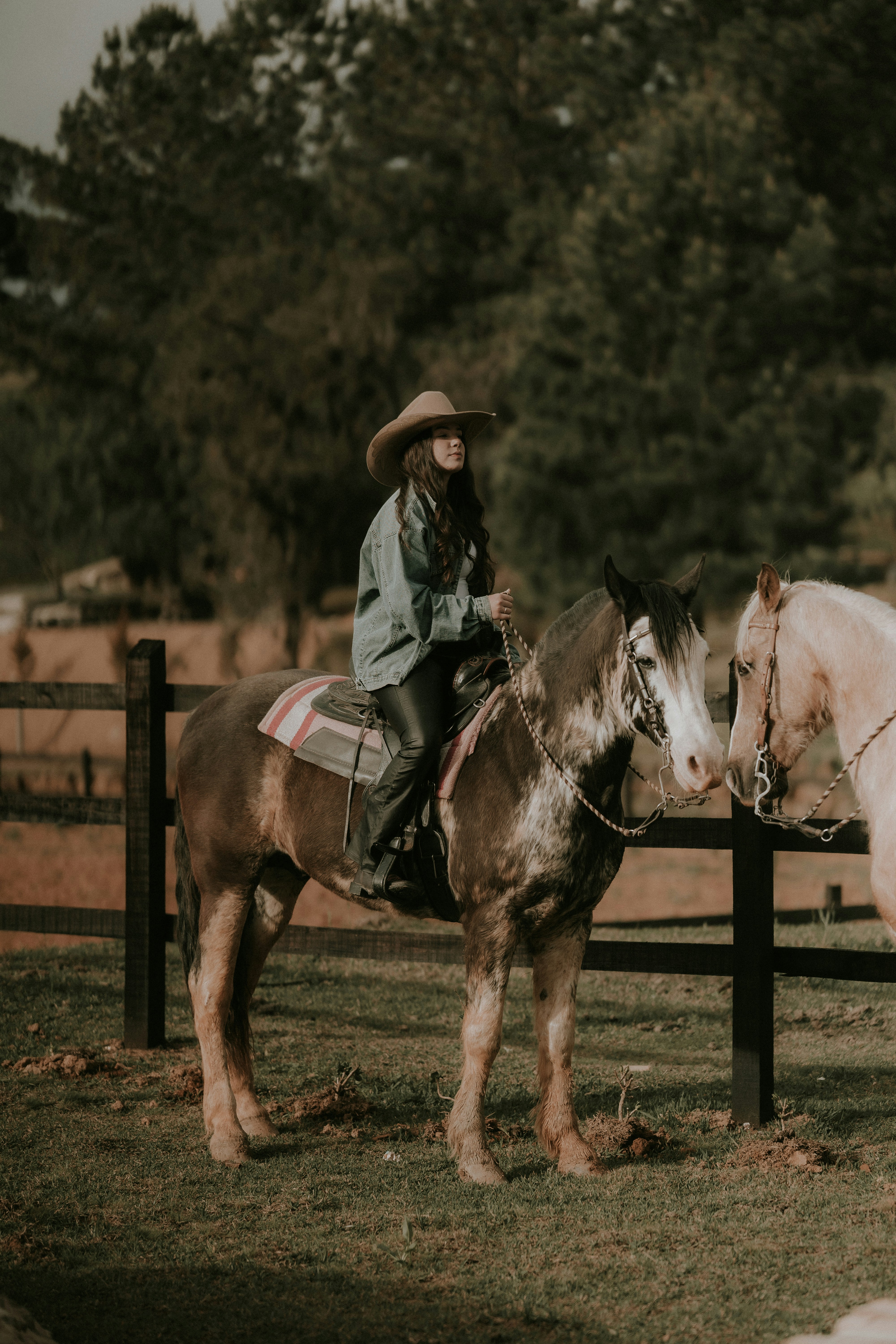 Photo by alexandermassph