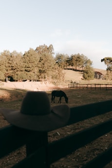 Cowboy hat on fence with horse in background