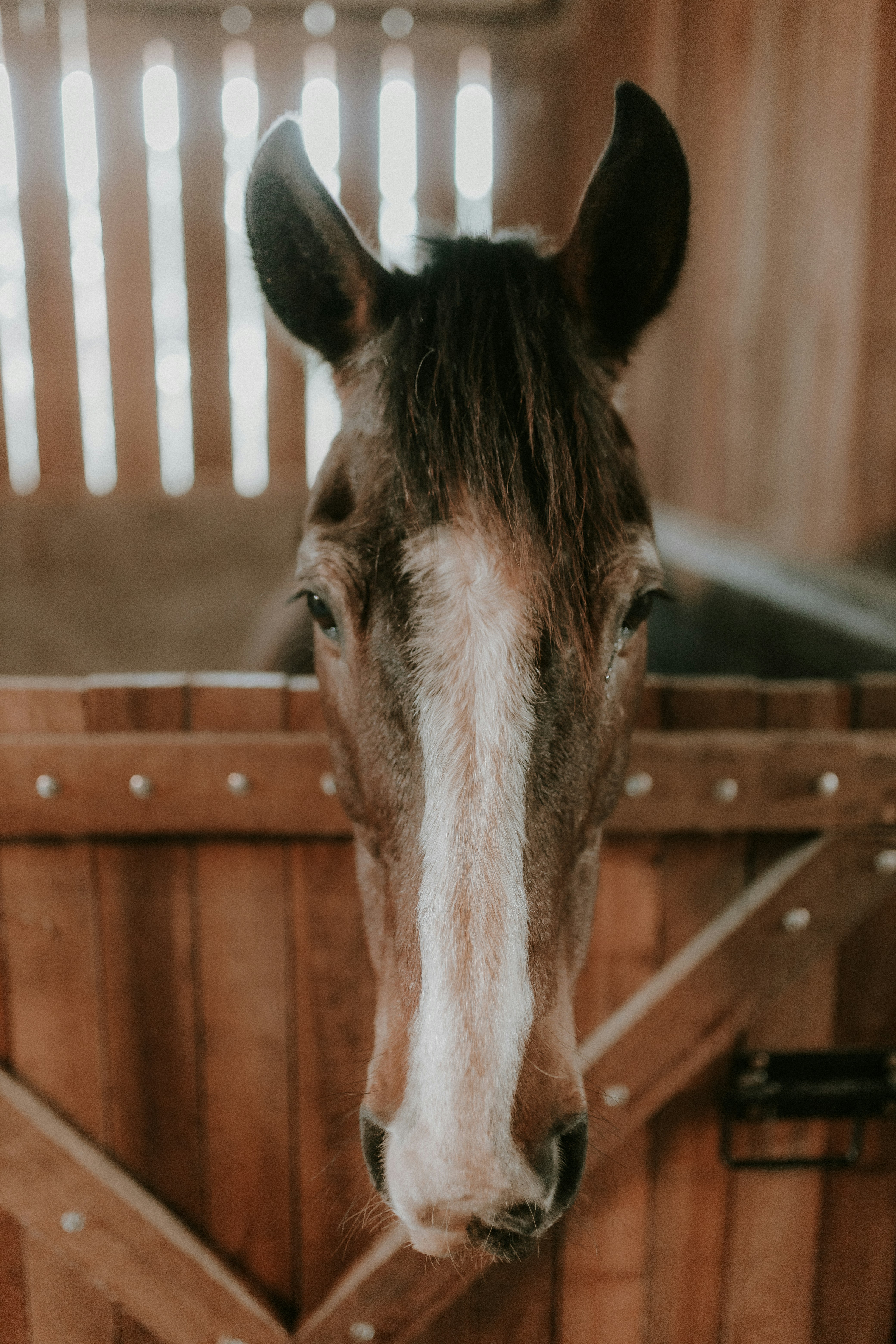 Photo by alexandermassph