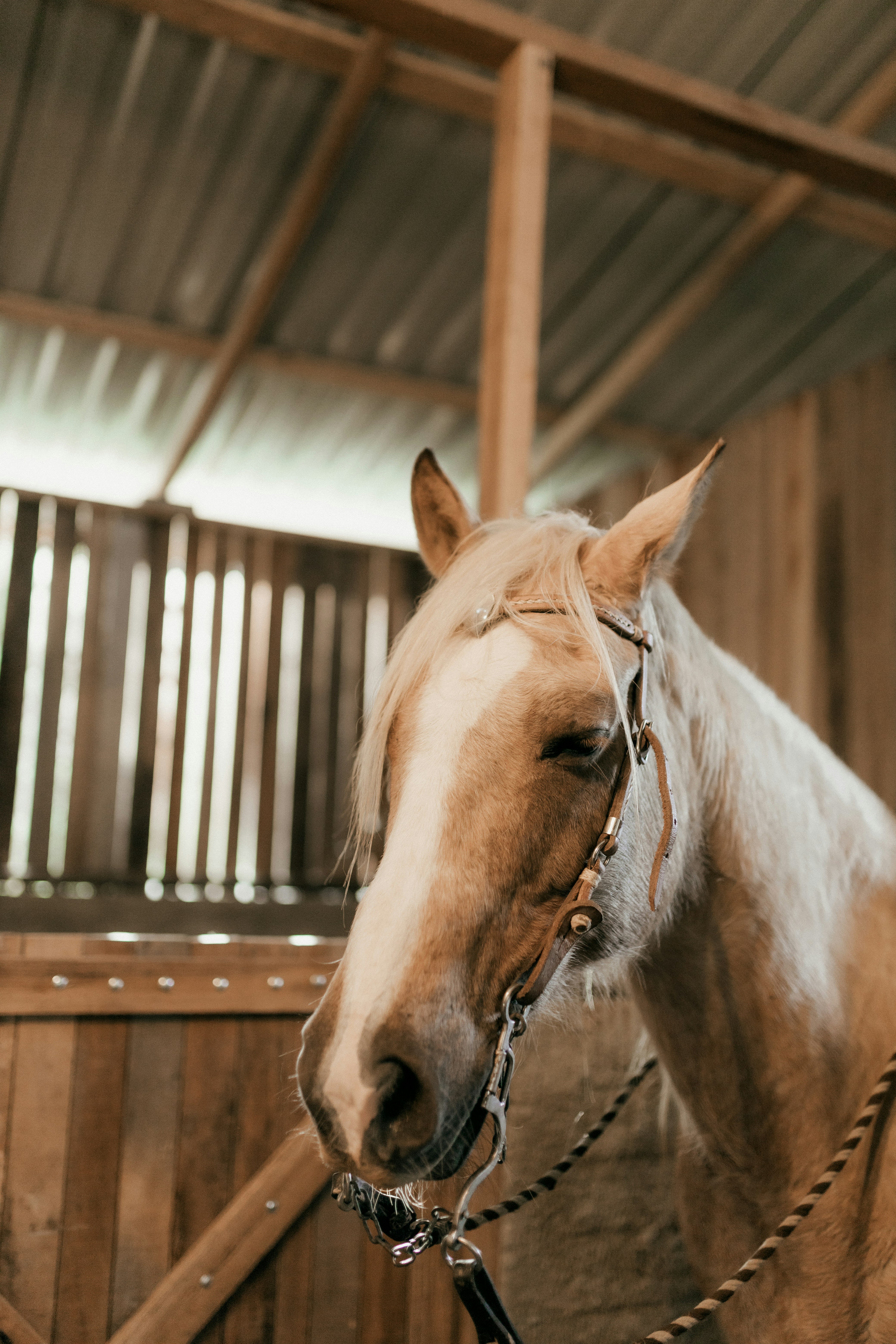 Photo by alexandermassph