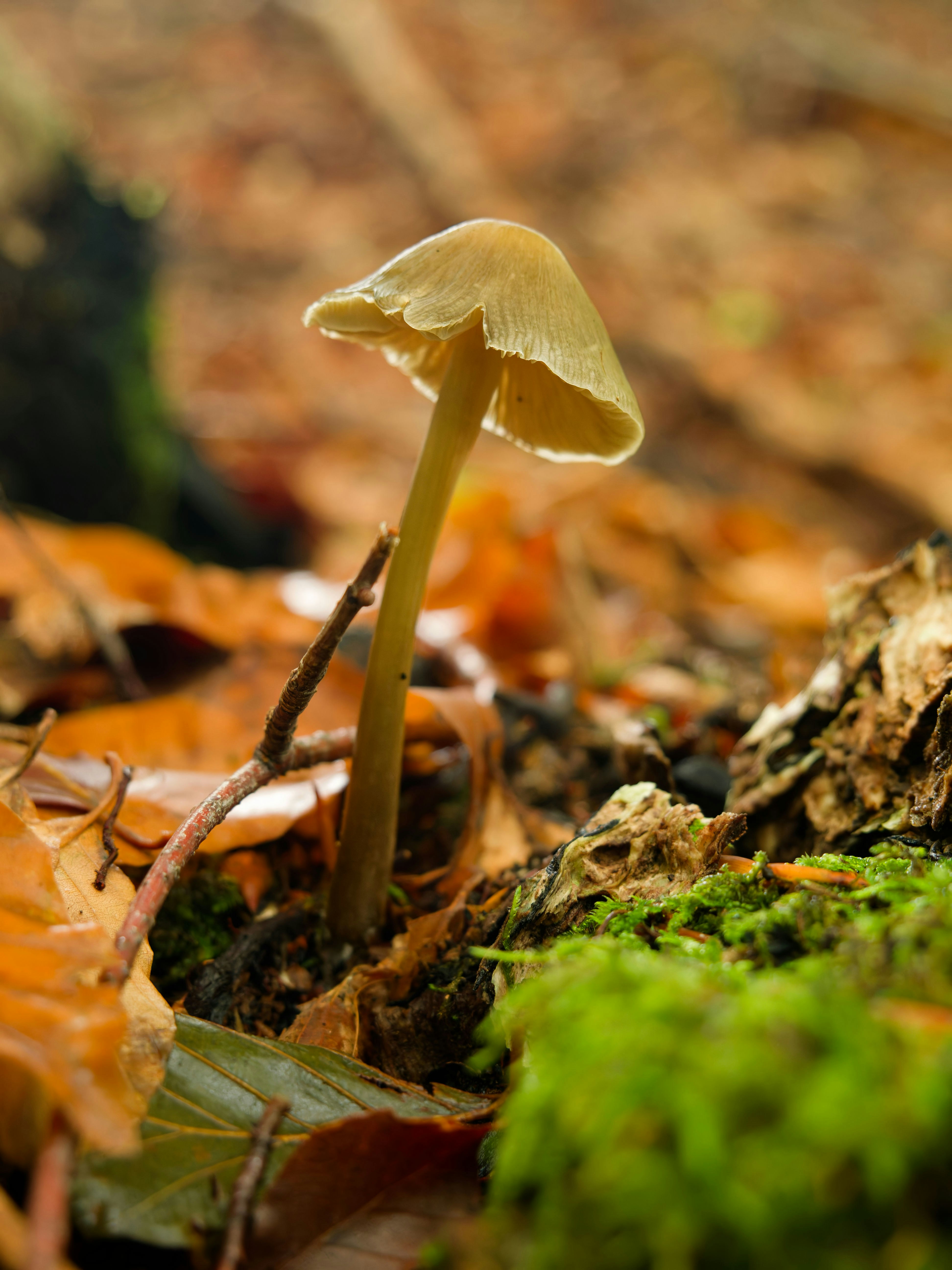 Photo by illes_cristi