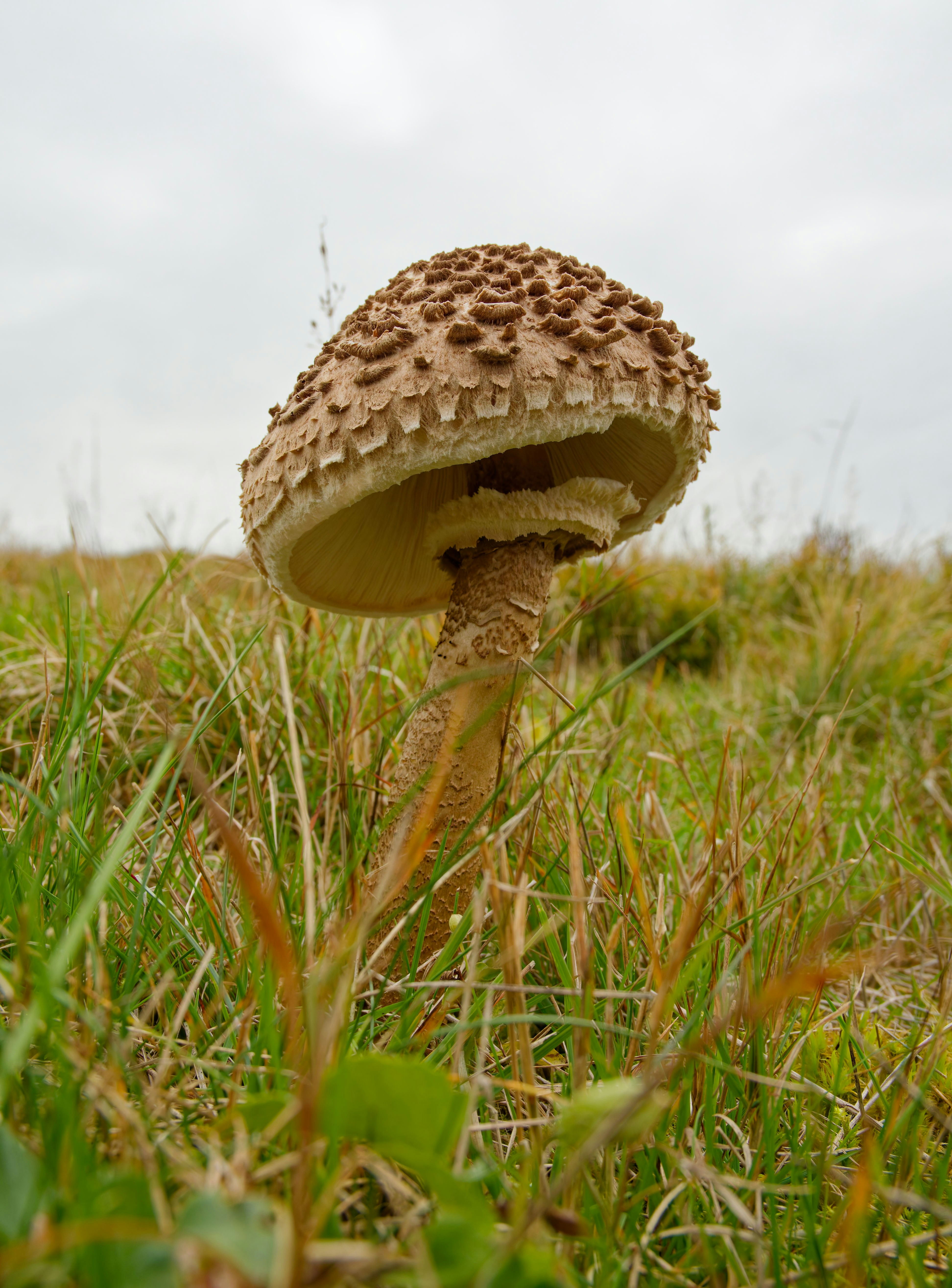 Photo by illes_cristi