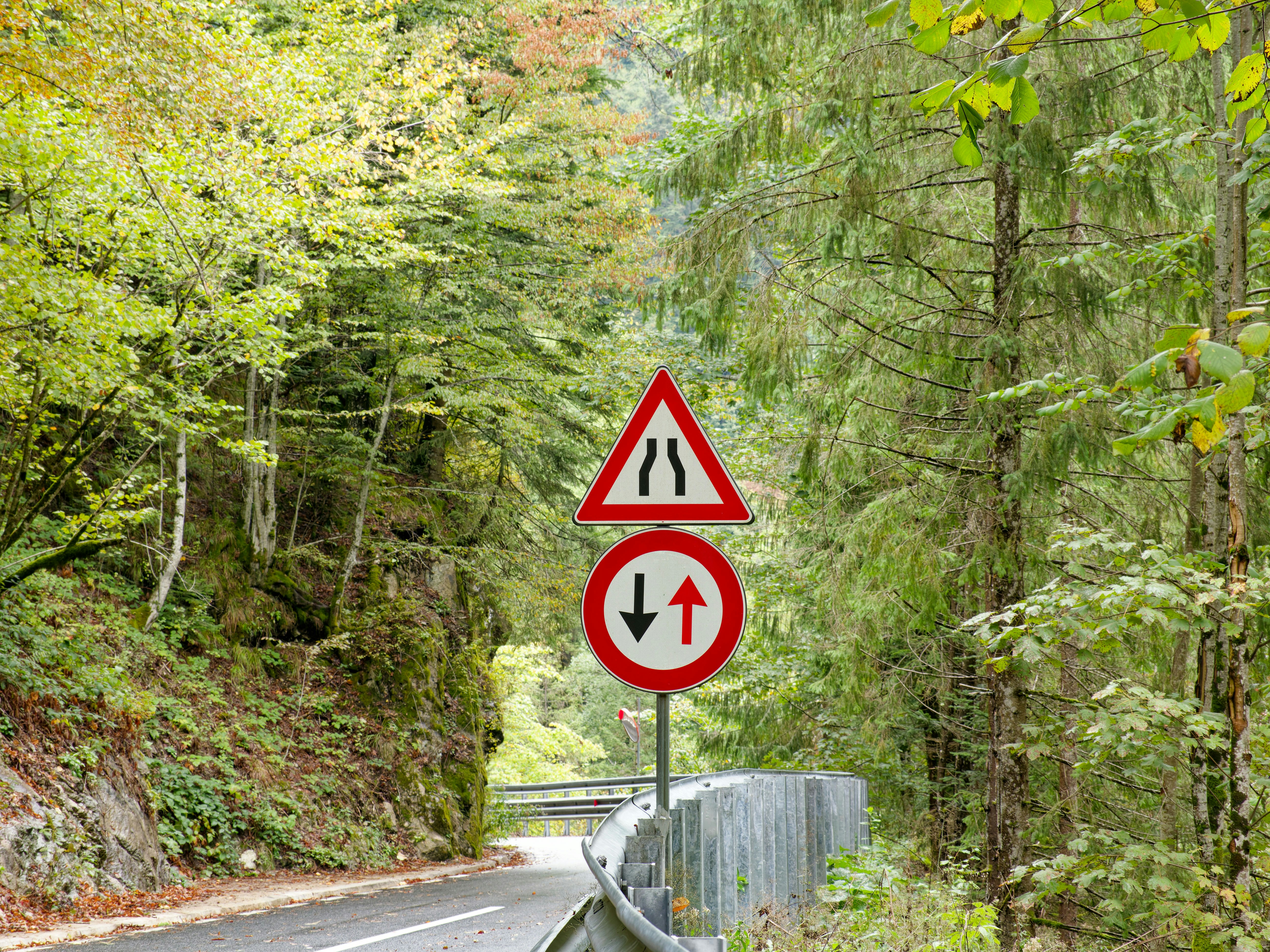Road signs indicating narrow road and two-way traffic ahead