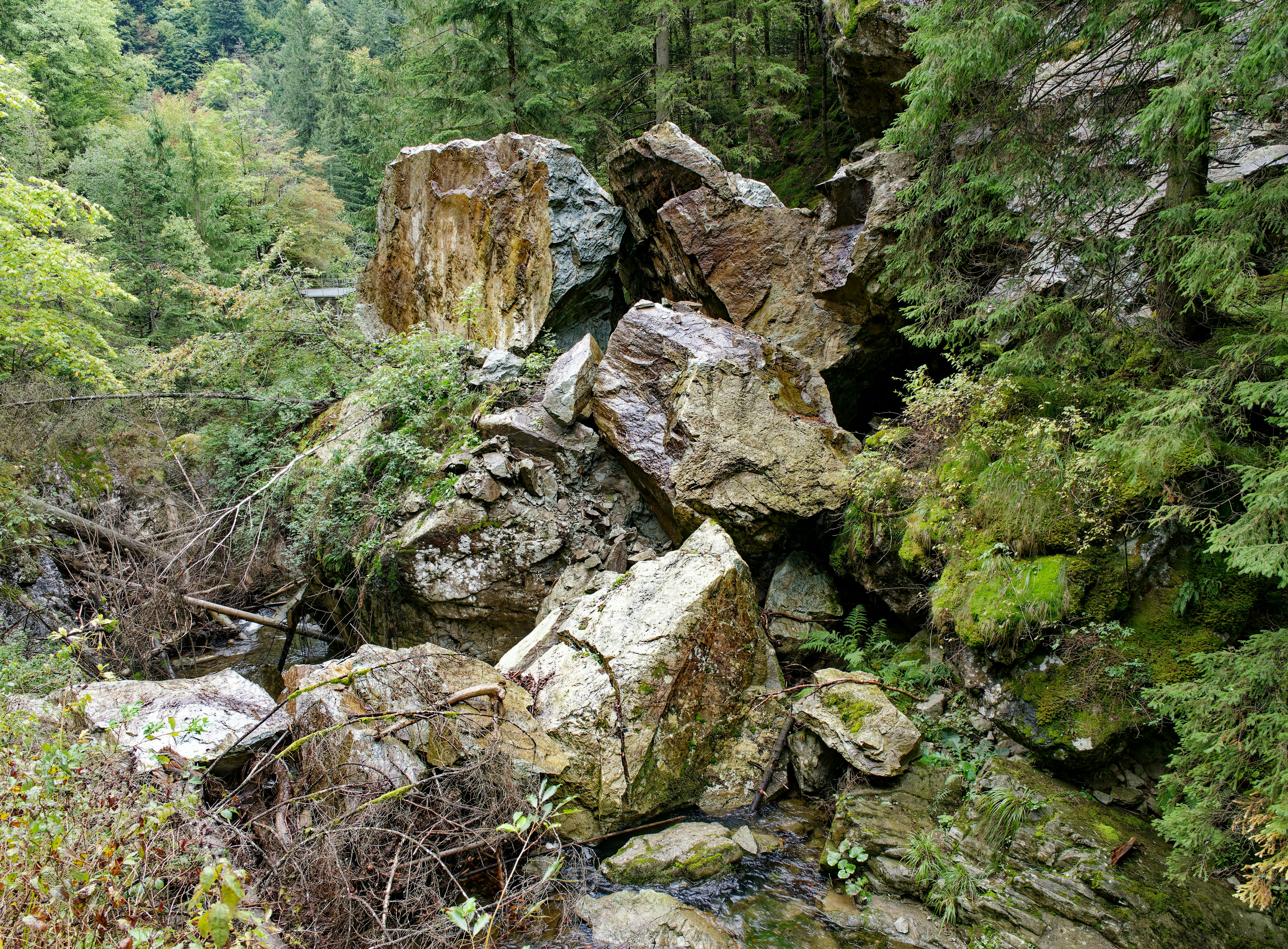 Photo by illes_cristi