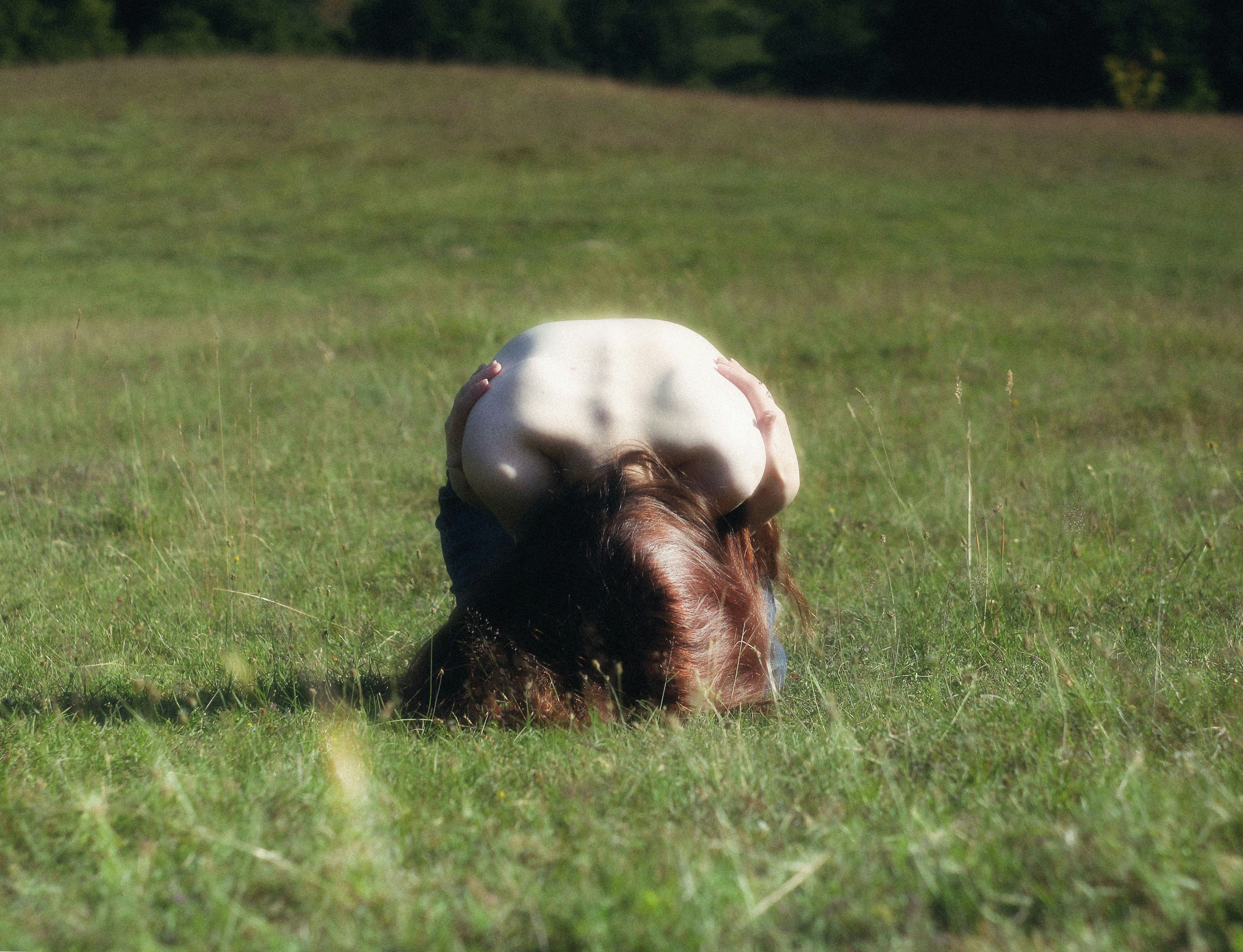 A horse with its head down in grass