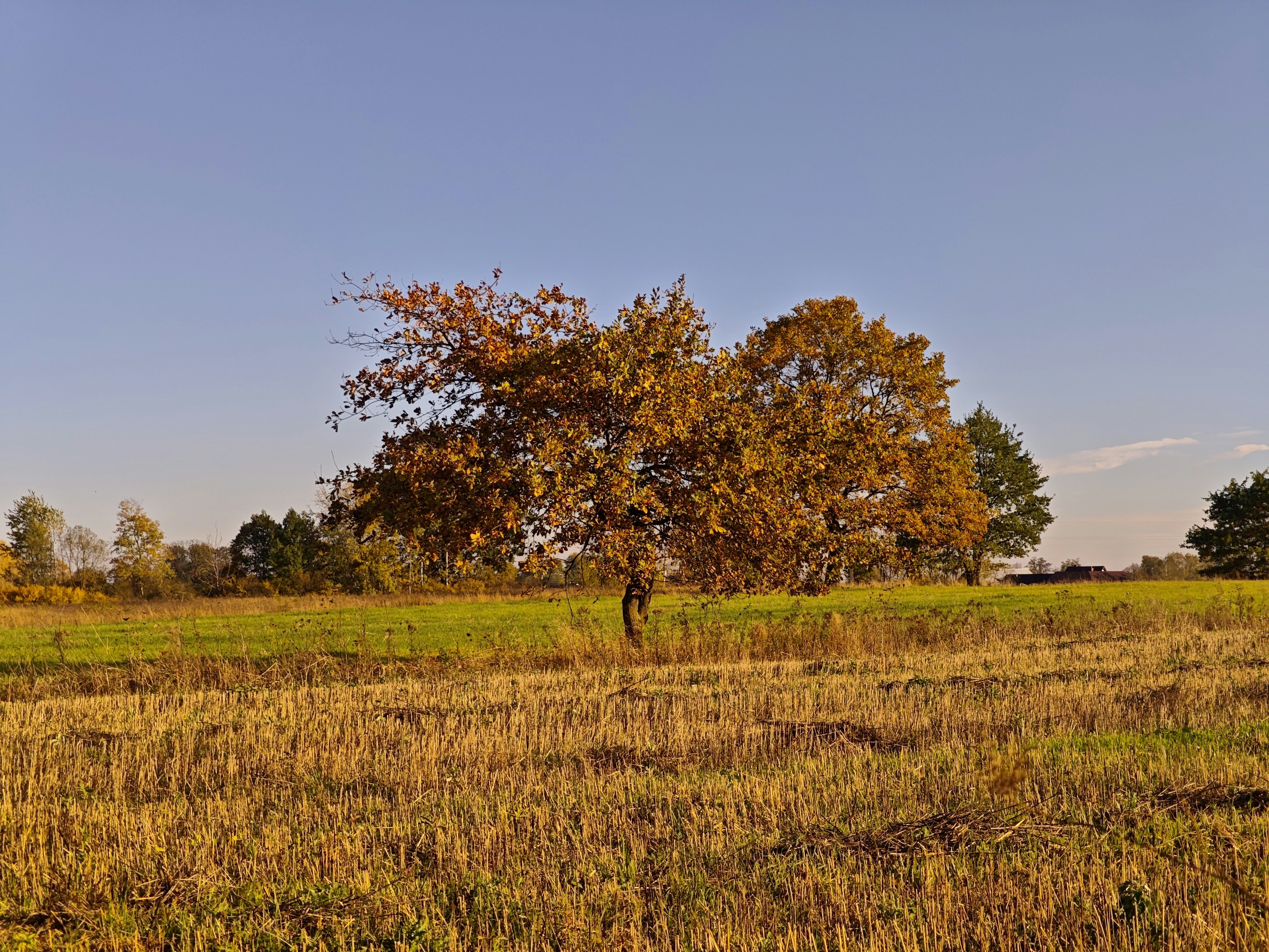 Photo by misiekphotography