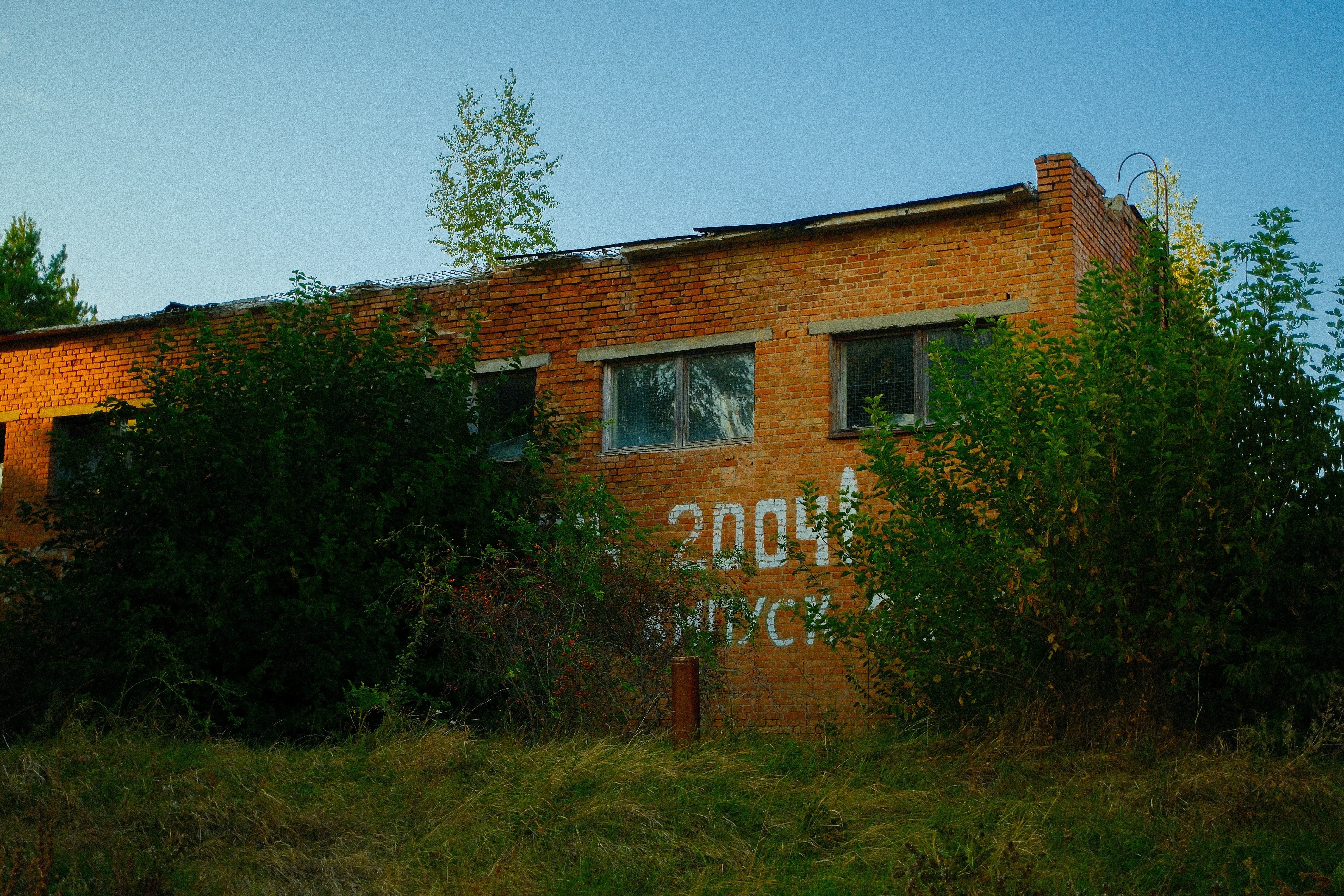 Abandoned brick building with graffiti and overgrown plants