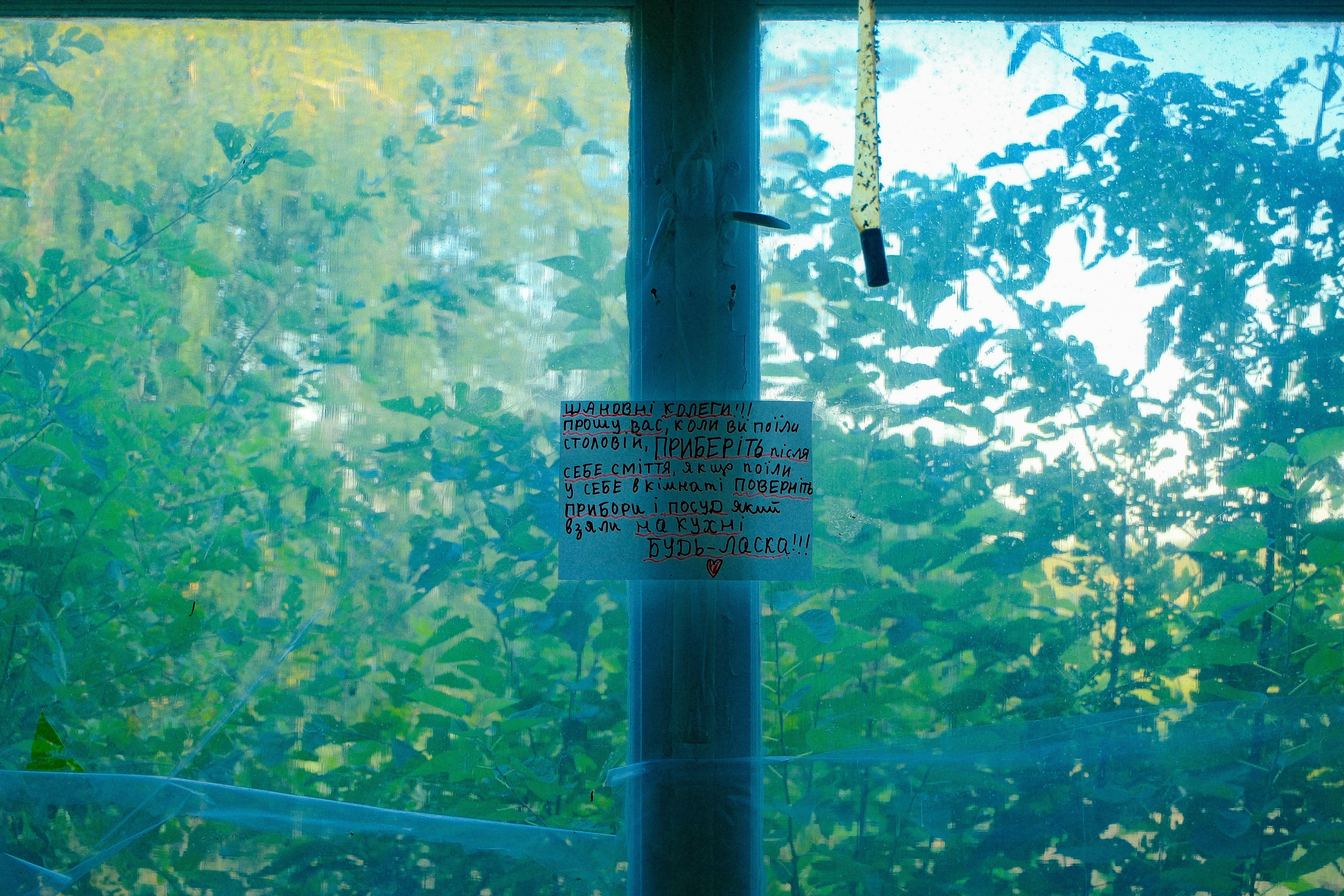 Photo by eugenechystiakov