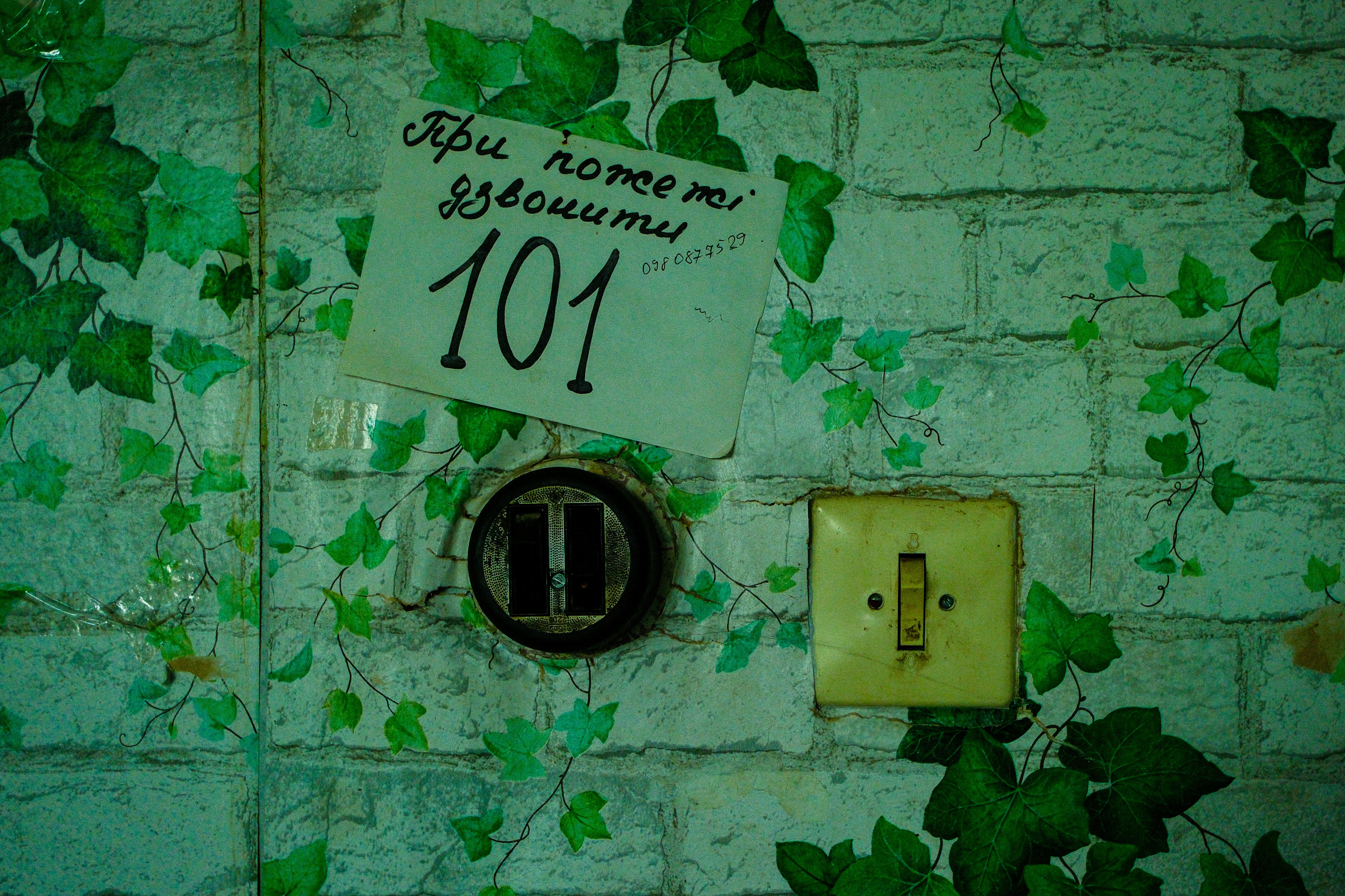 Door with number 101 and a light switch.