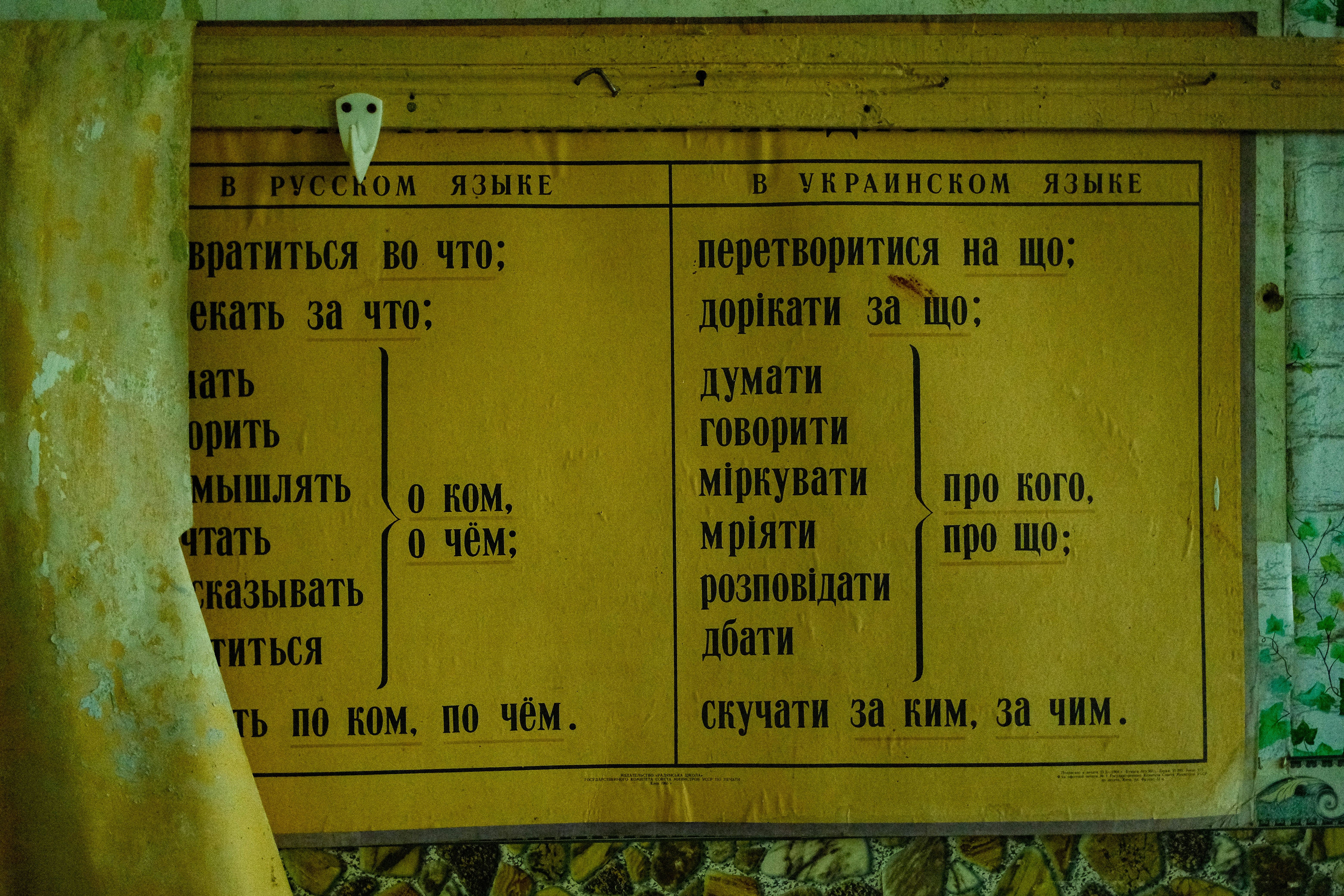 language learning concept illustration