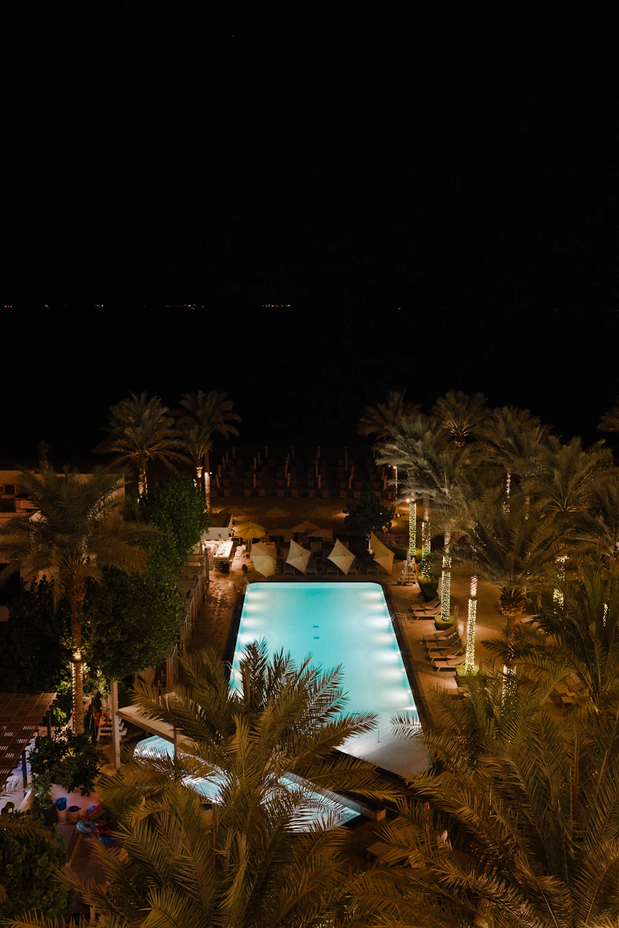 Looking down at the illuminated pool between the palms after dark