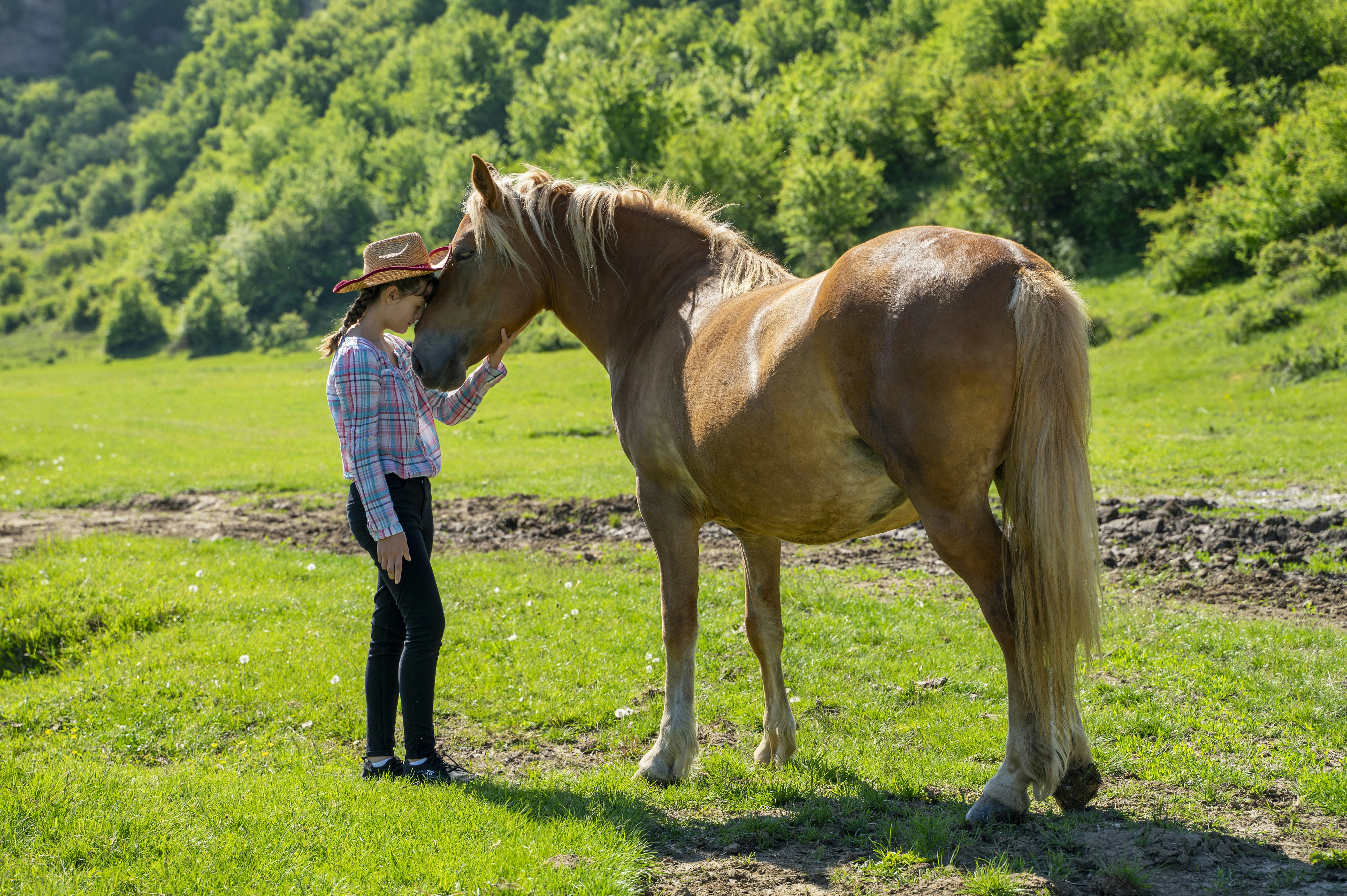 A person wearing a hat gently touches a horse.