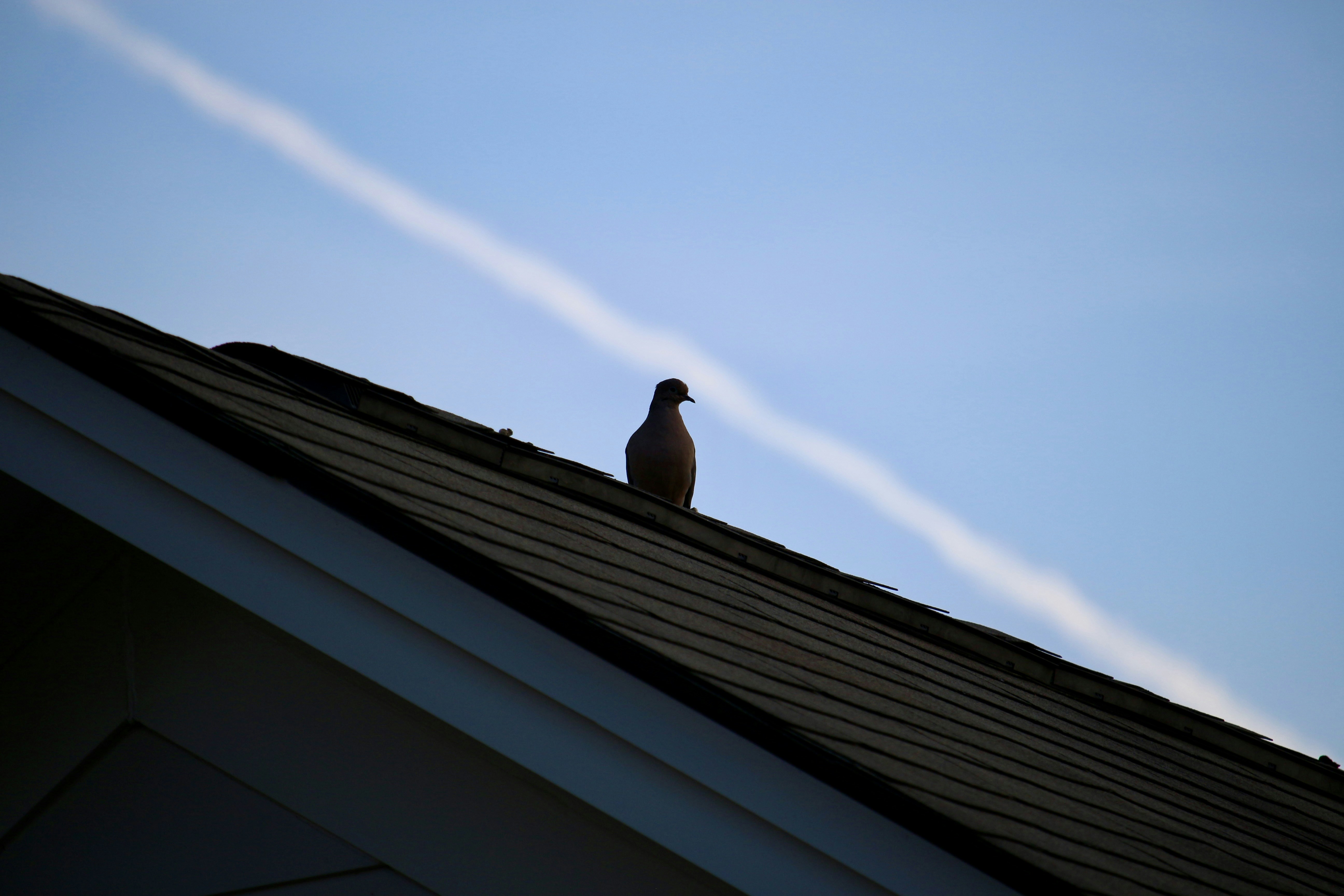 Photo by mgeyerphotography