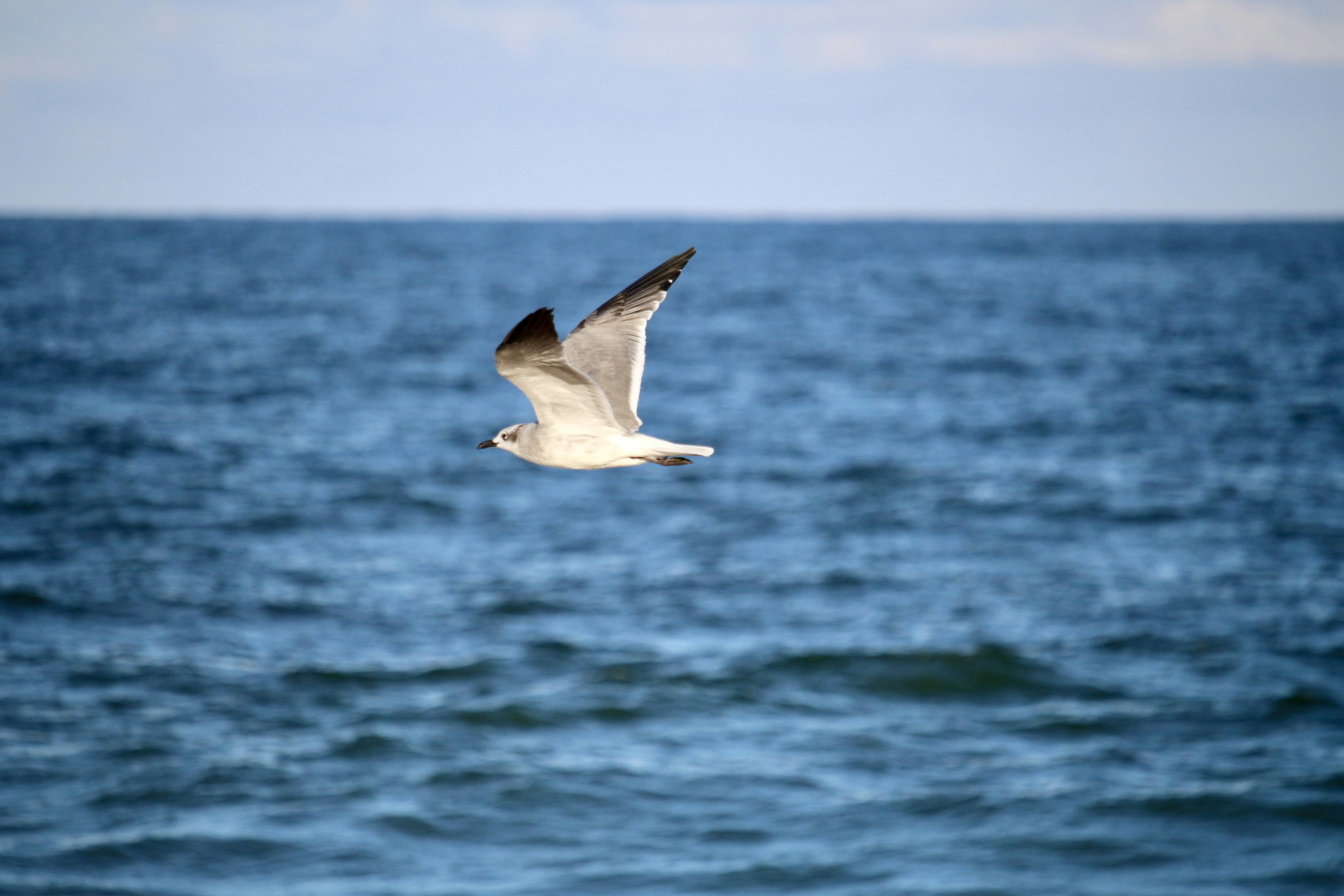 Photo by mgeyerphotography