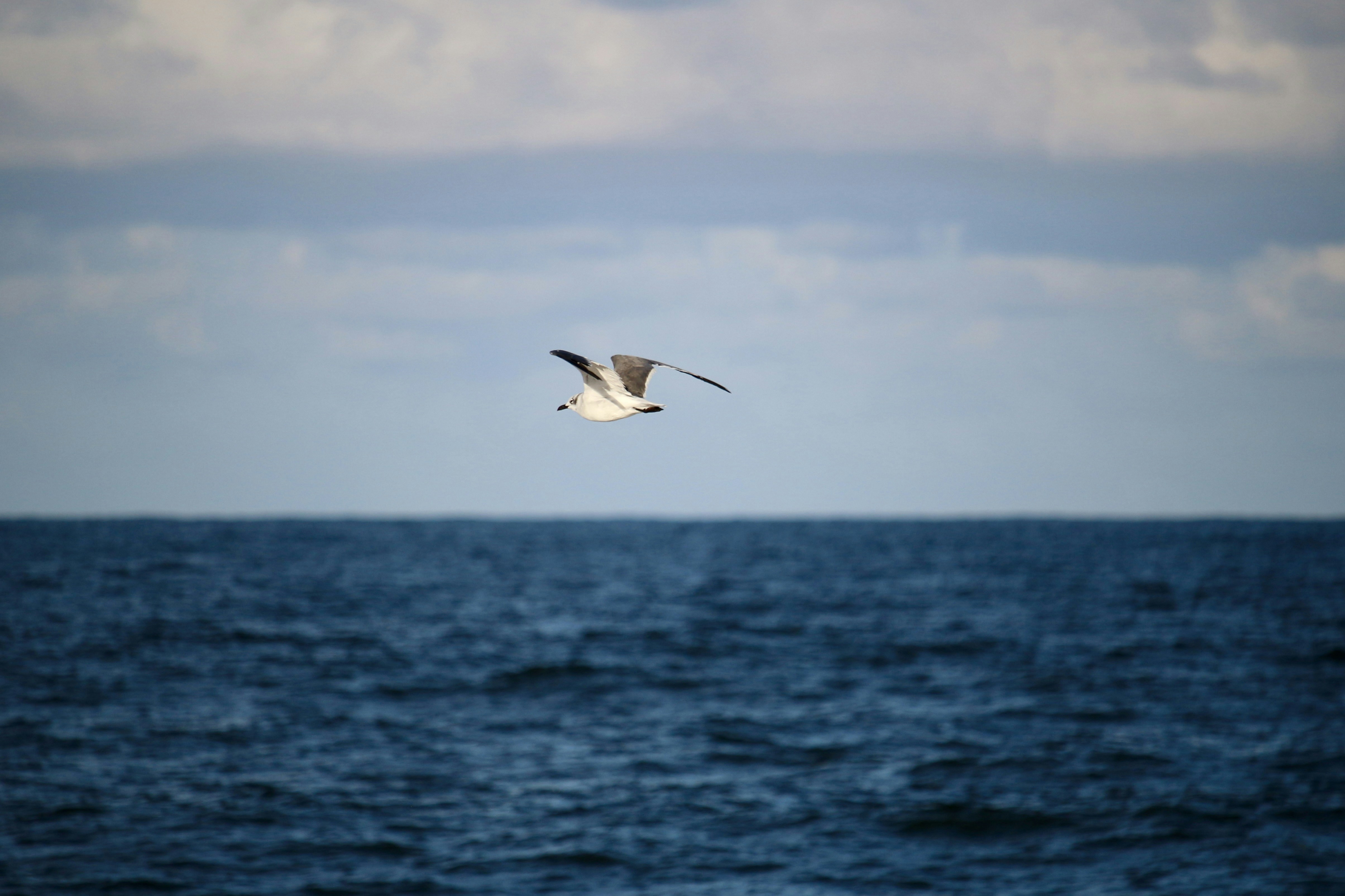 Photo by mgeyerphotography