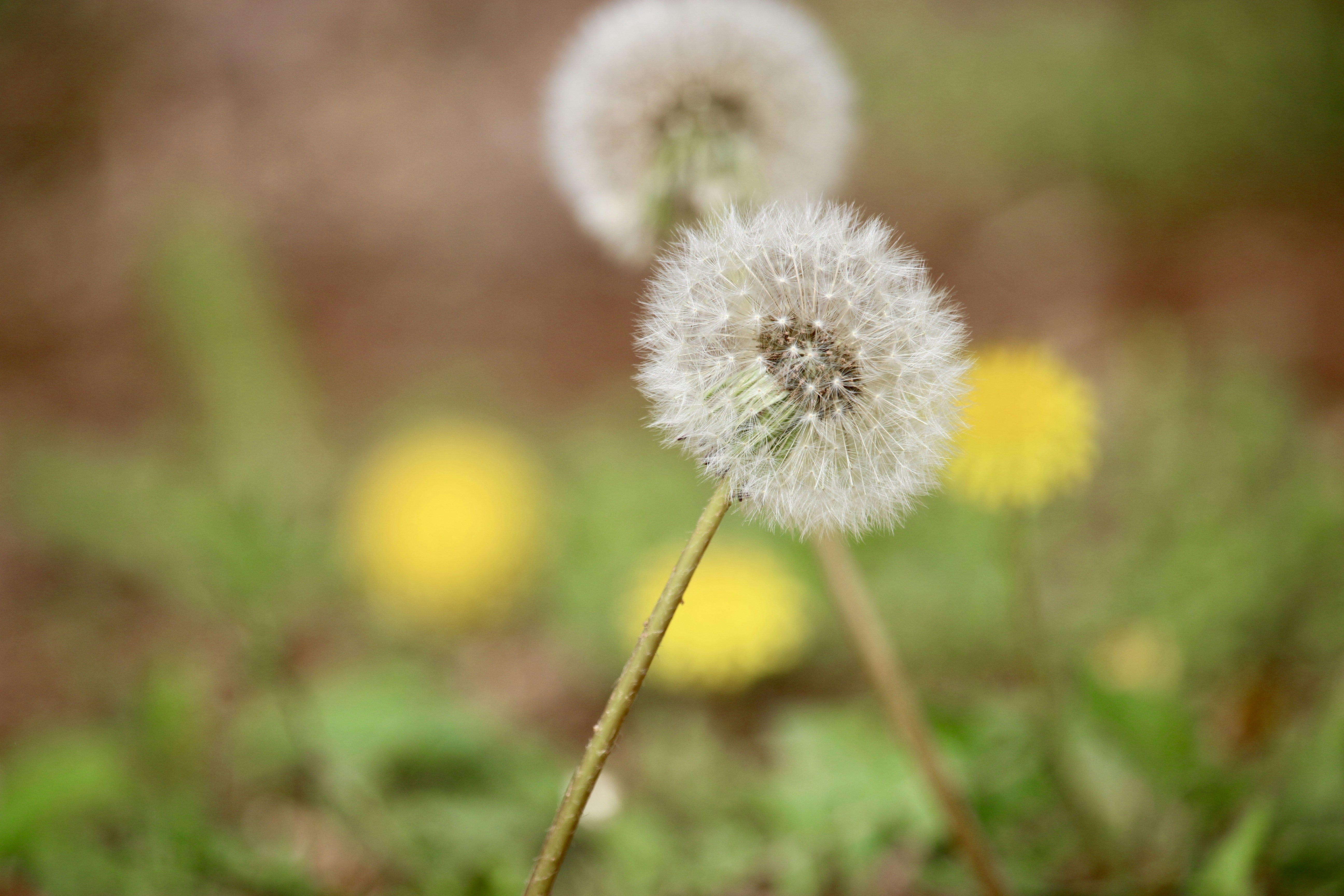 Photo by mgeyerphotography