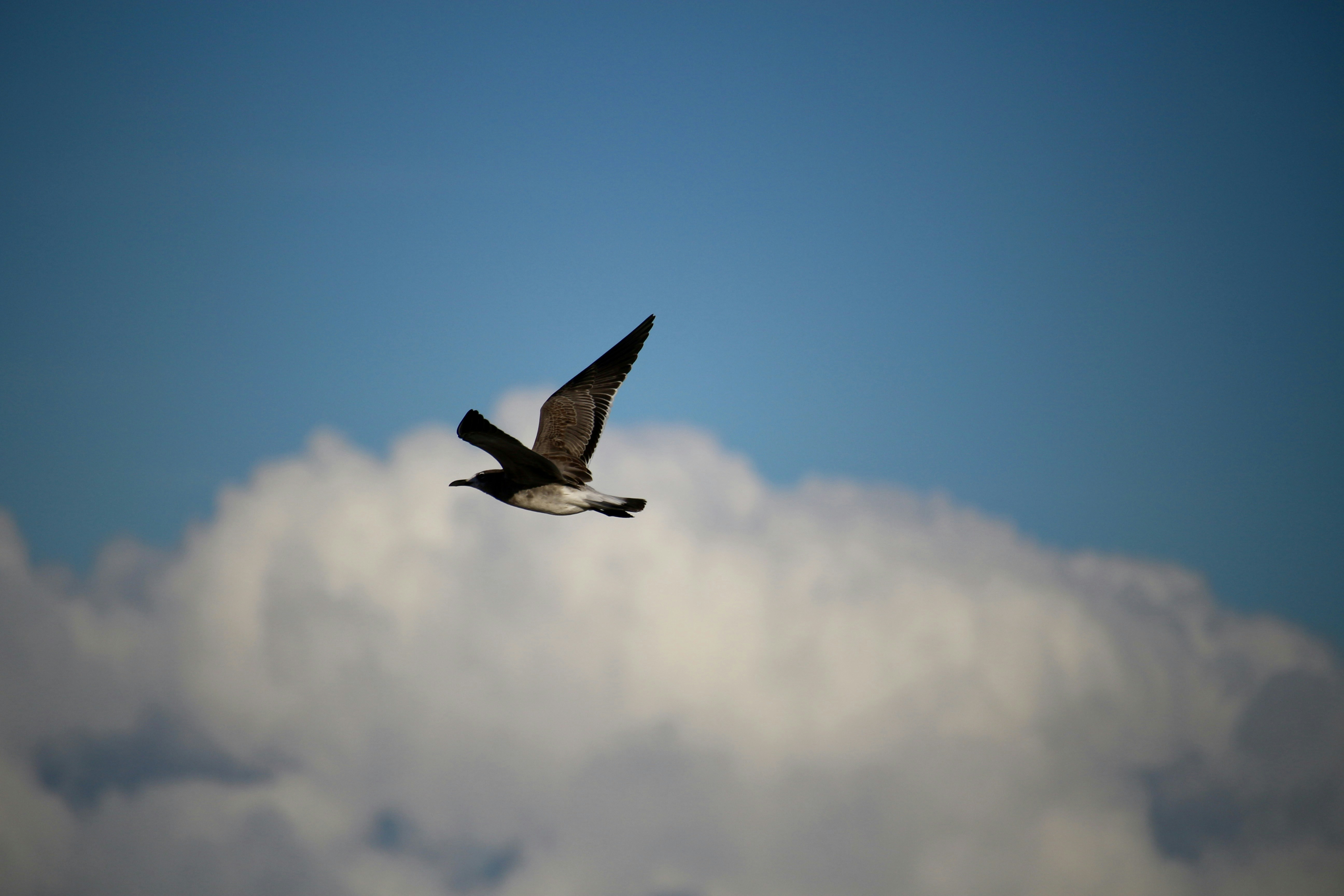 Photo by mgeyerphotography