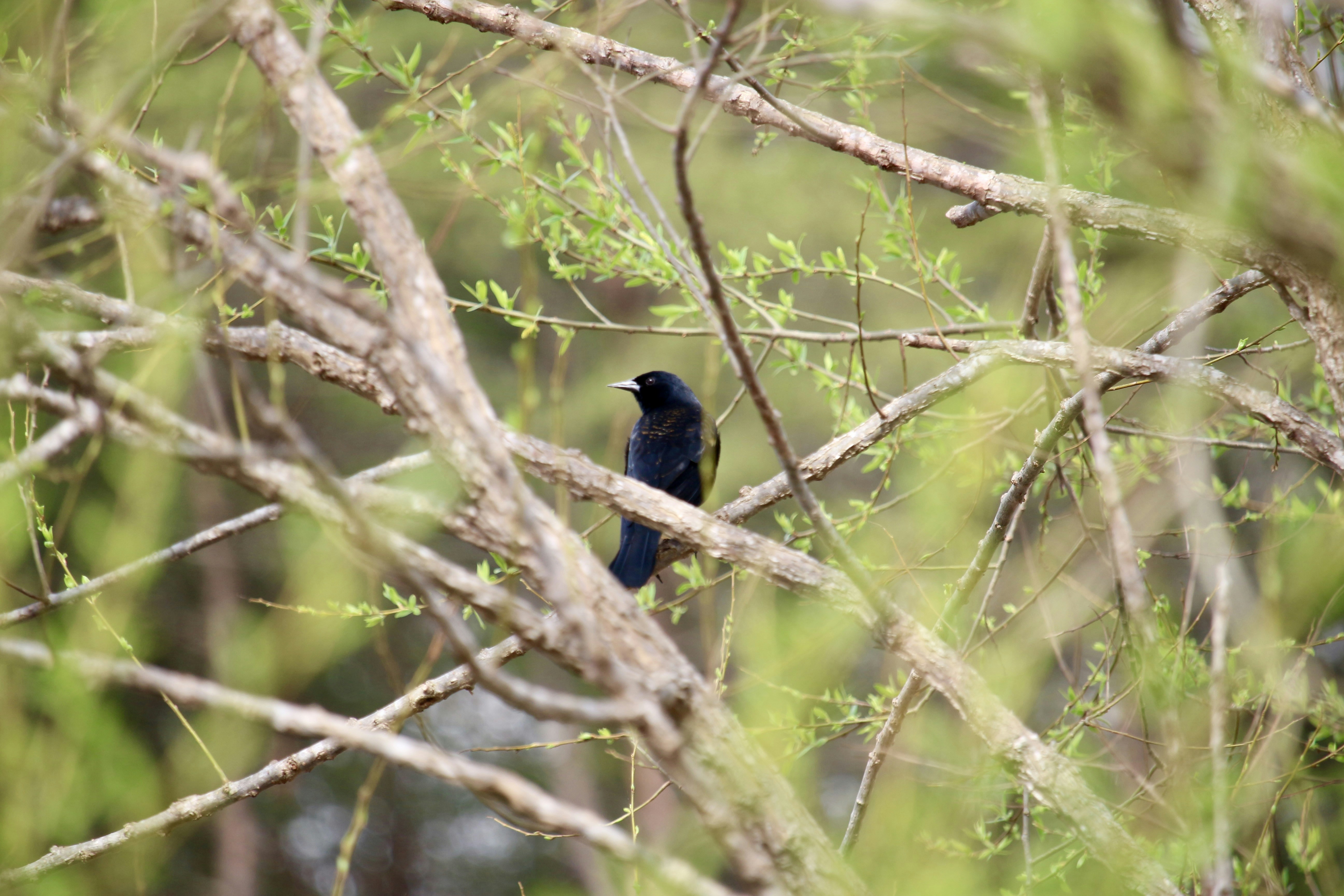 Photo by mgeyerphotography