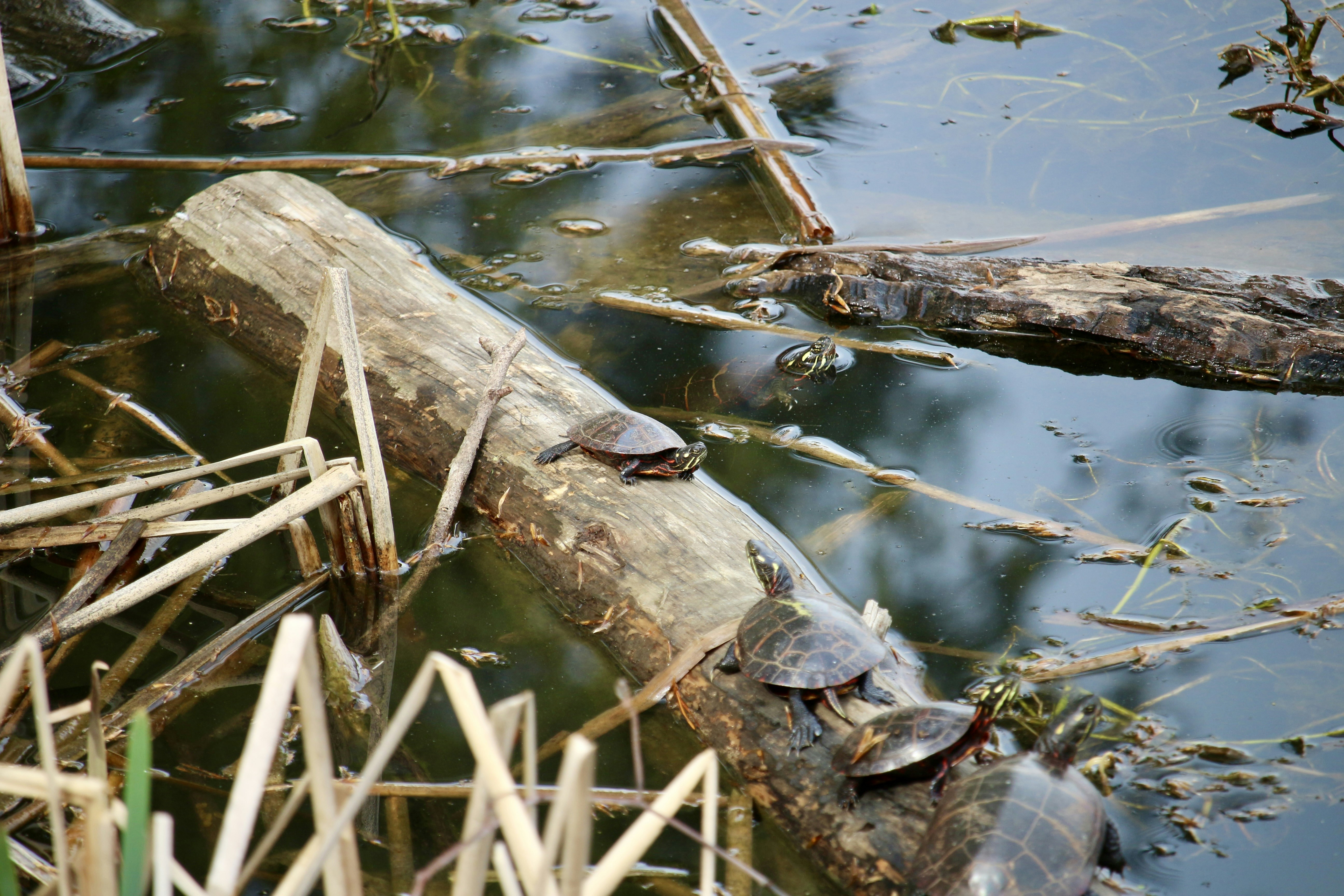 Photo by mgeyerphotography