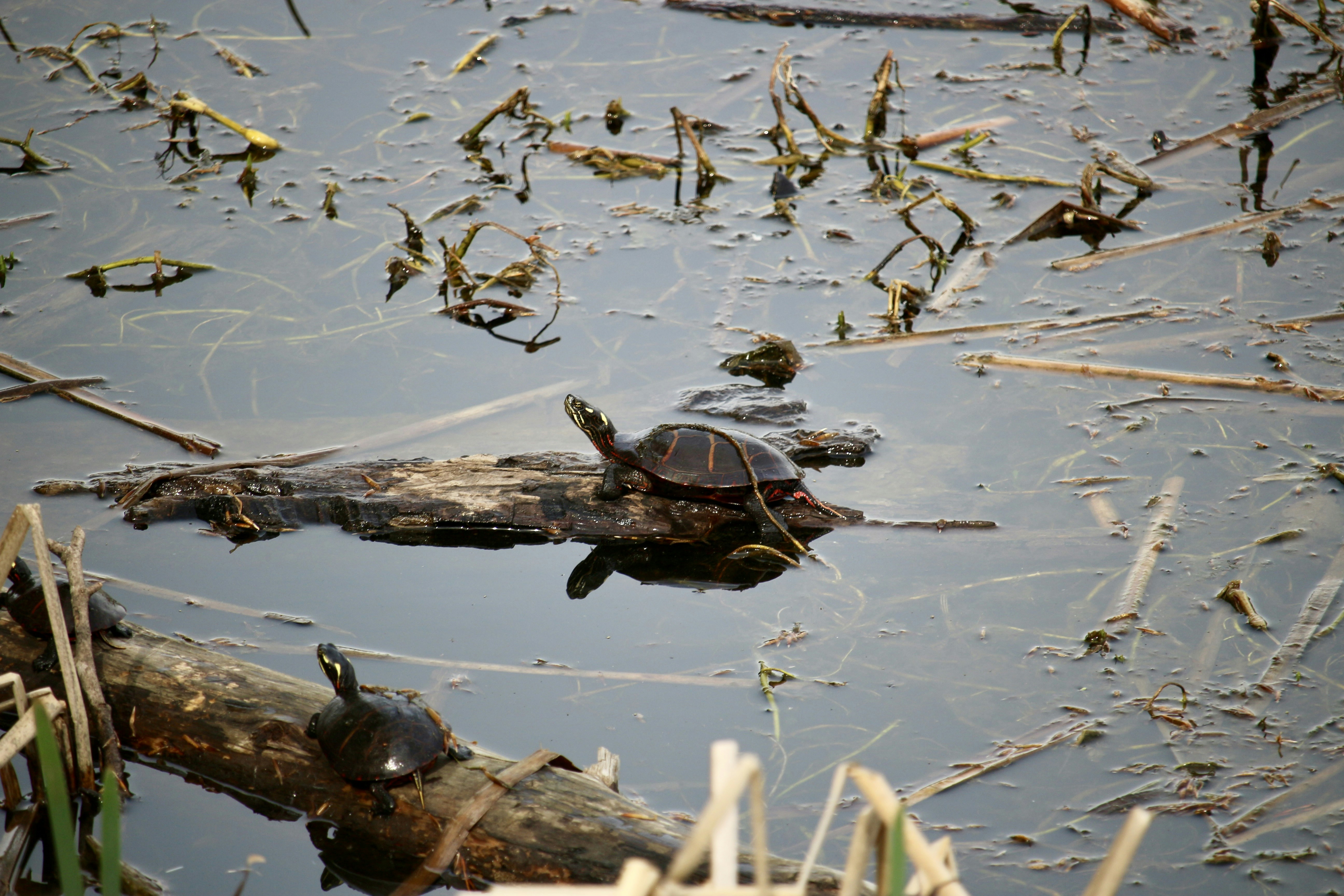 Photo by mgeyerphotography