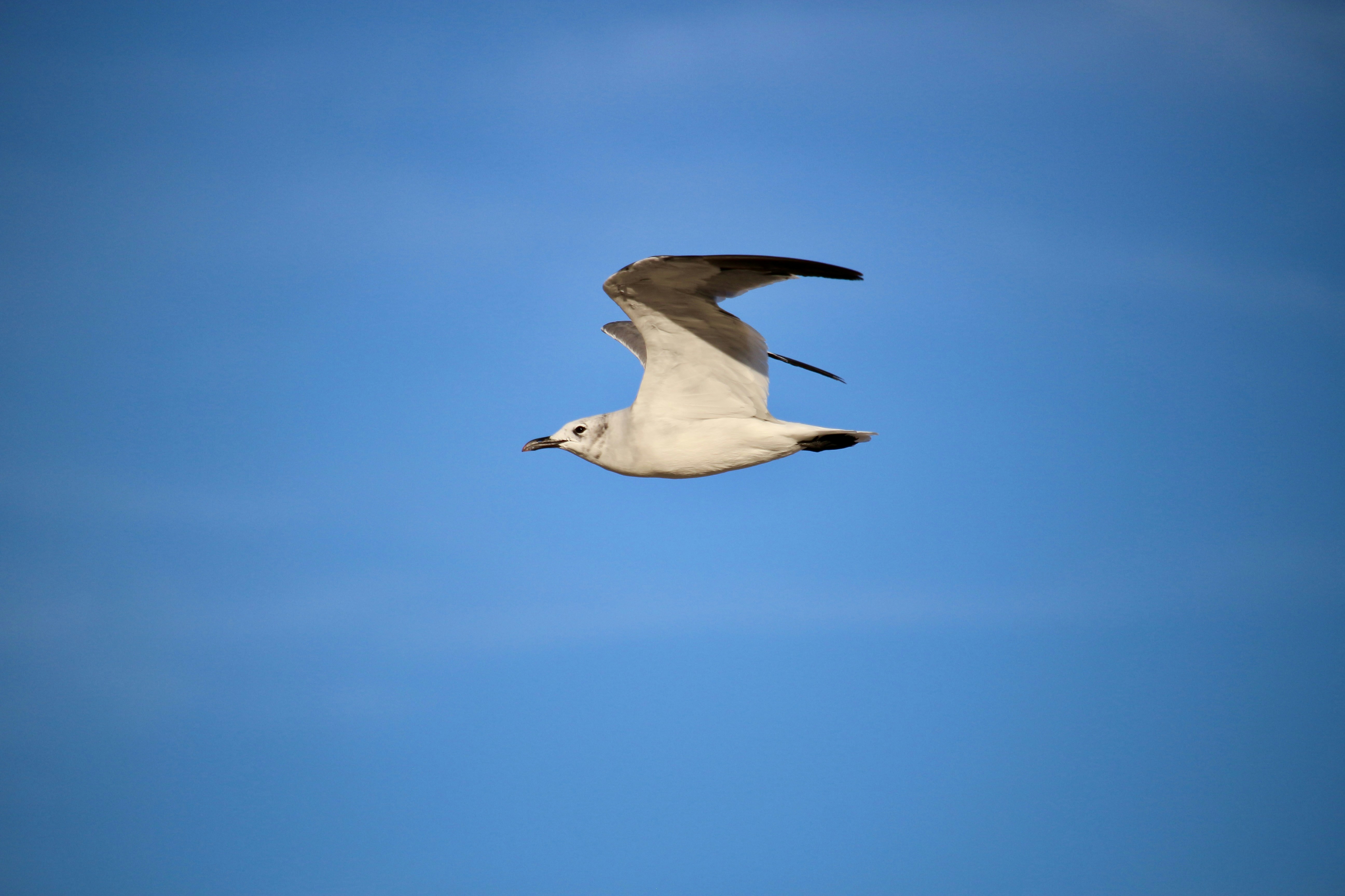 Photo by mgeyerphotography