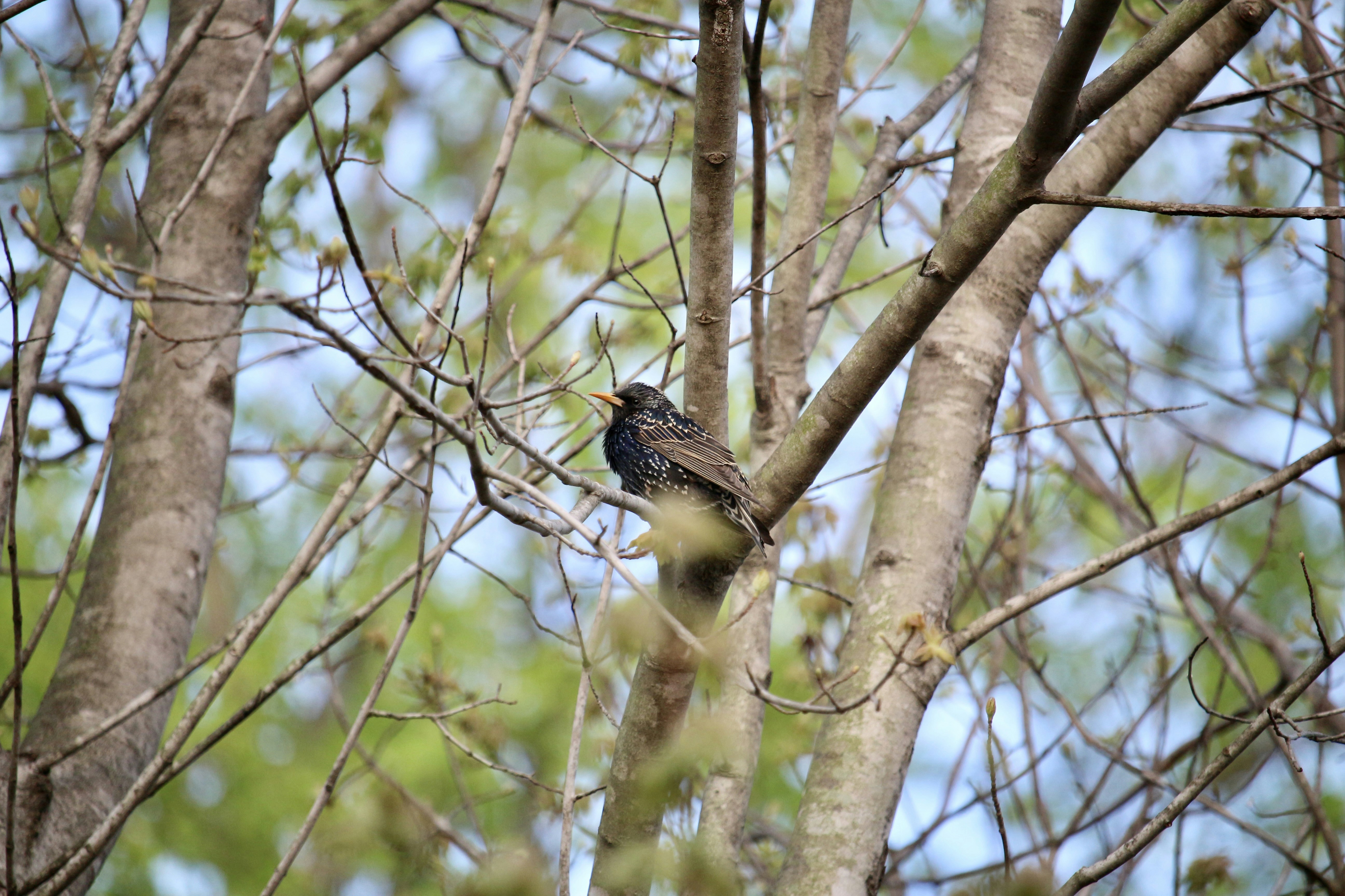 Photo by mgeyerphotography