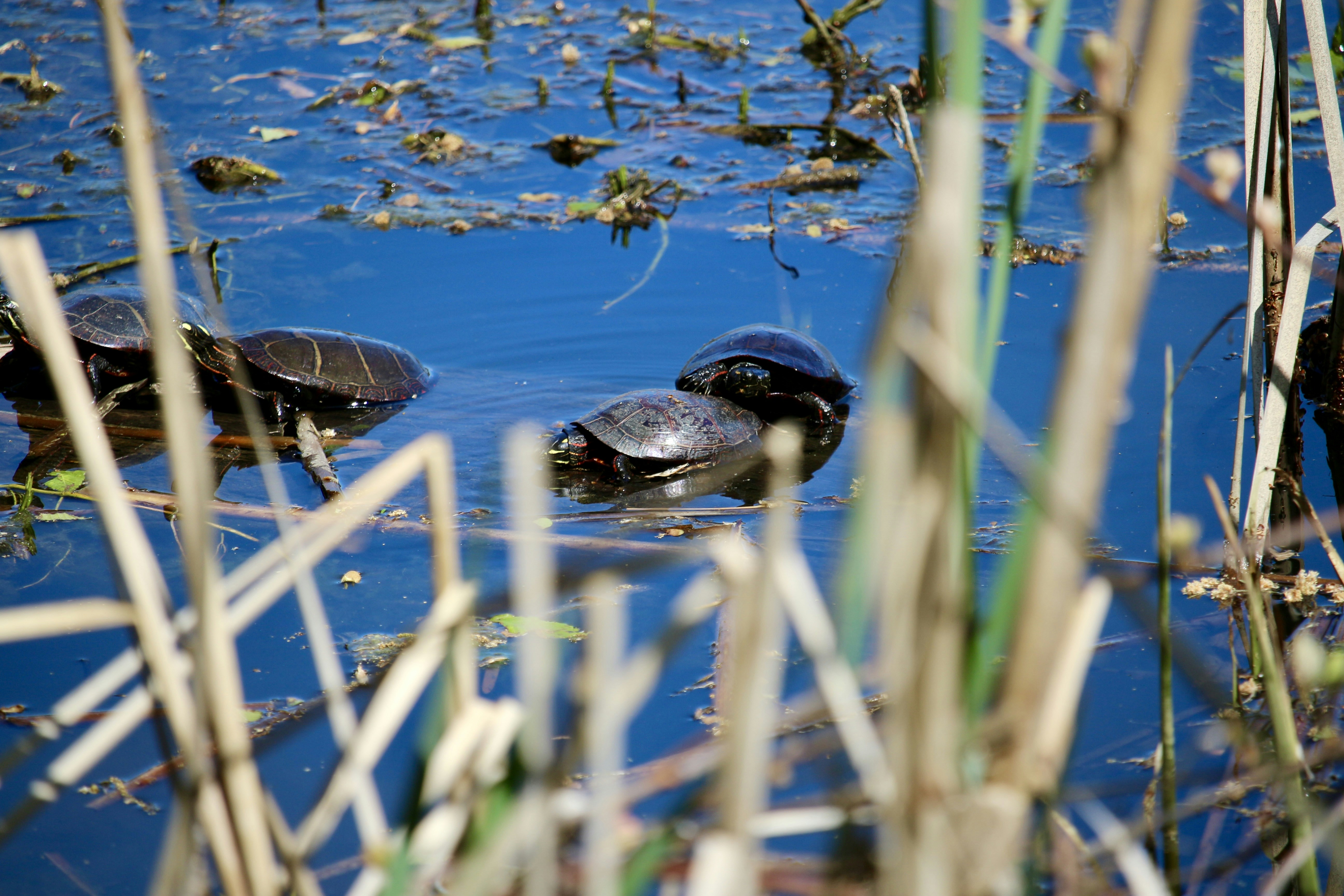 Photo by mgeyerphotography