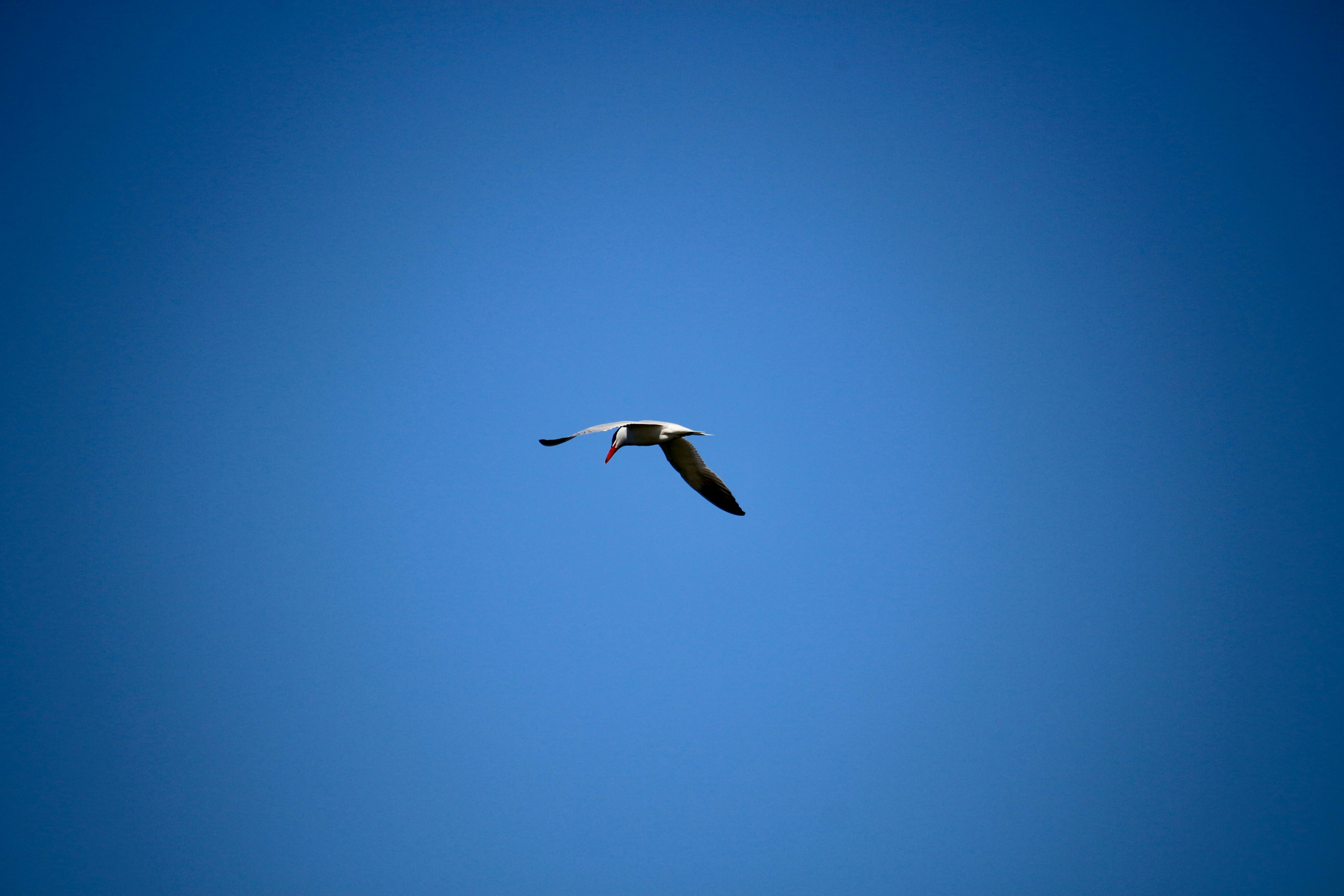 Photo by mgeyerphotography