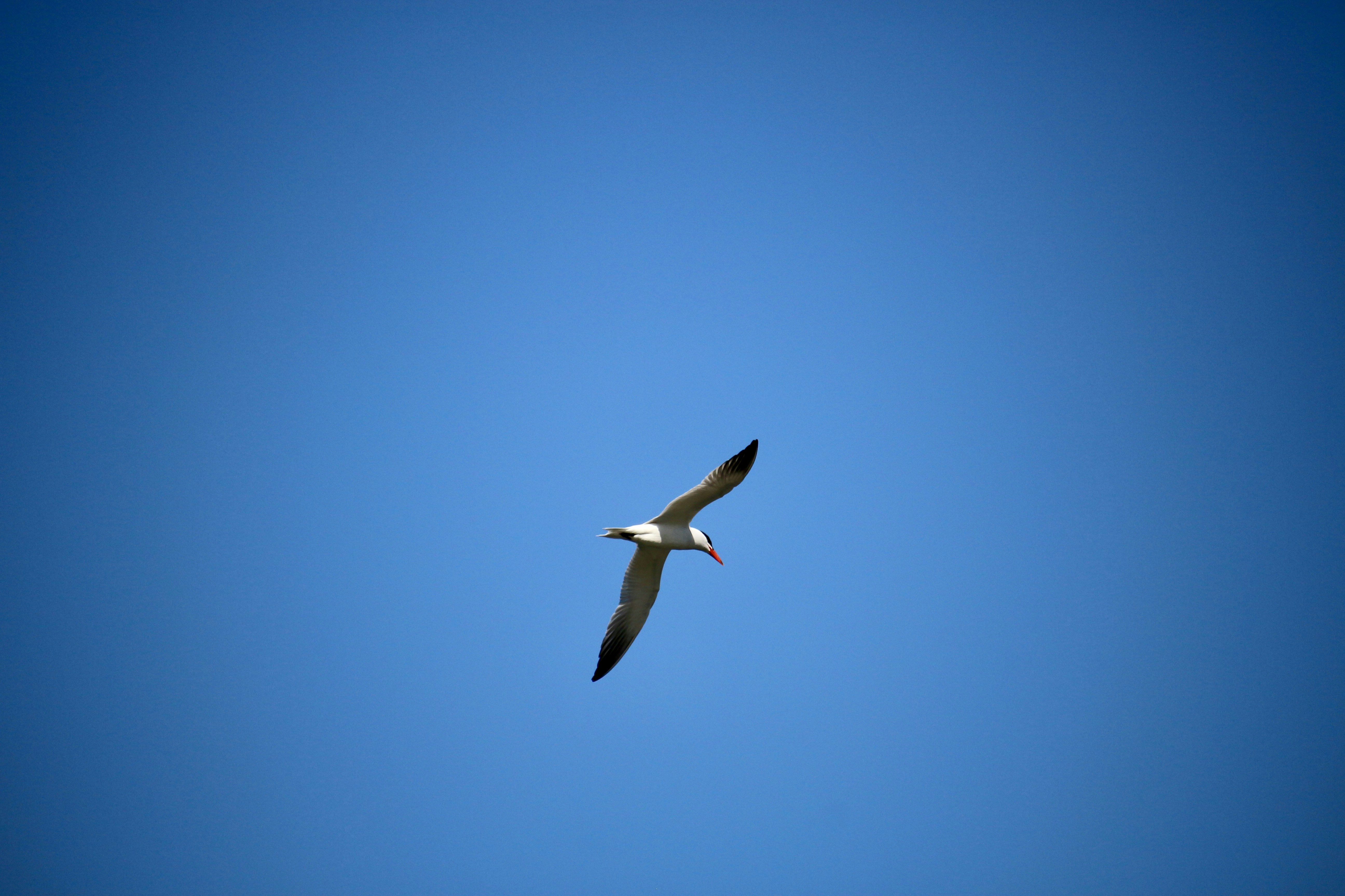 Photo by mgeyerphotography