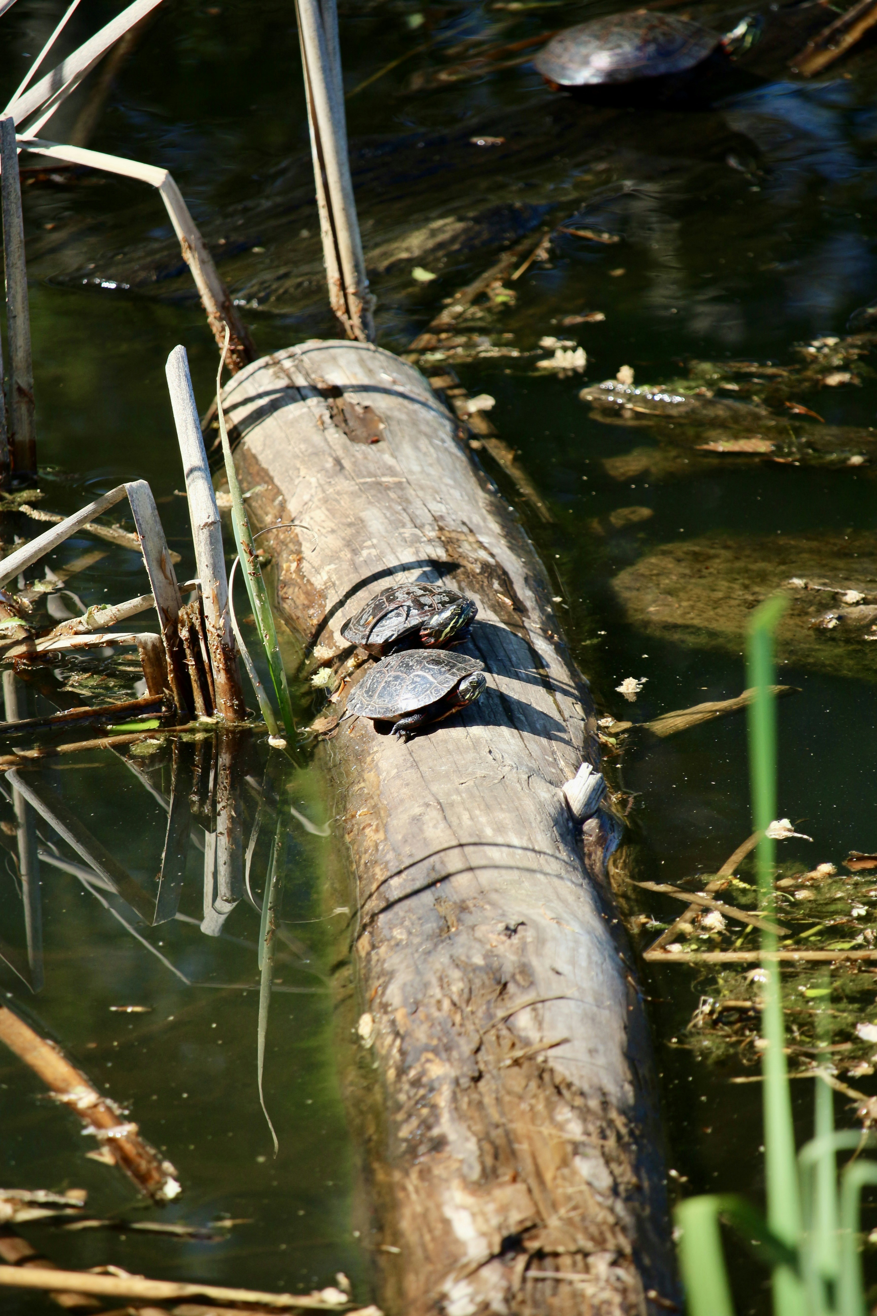 Photo by mgeyerphotography