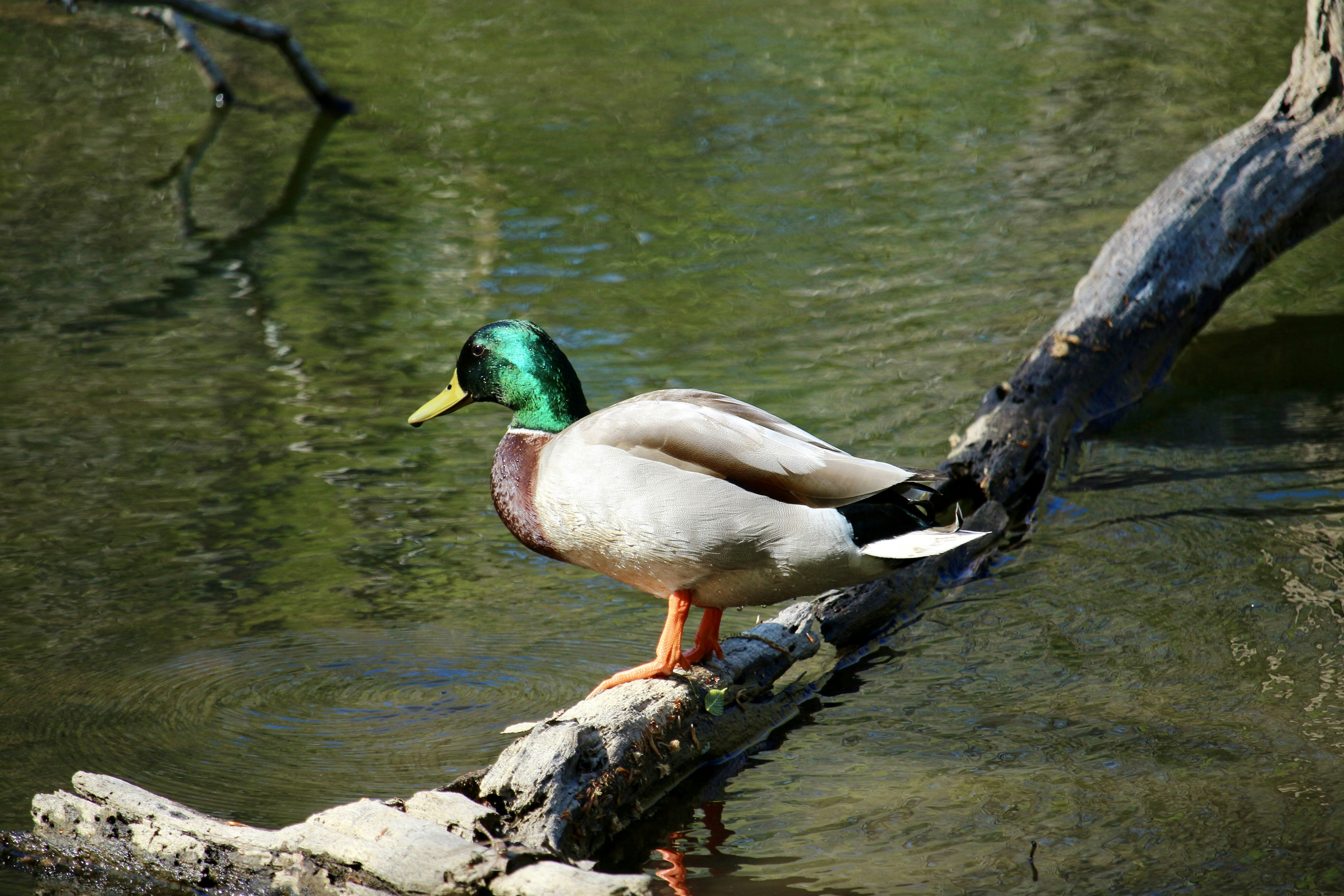 Photo by mgeyerphotography