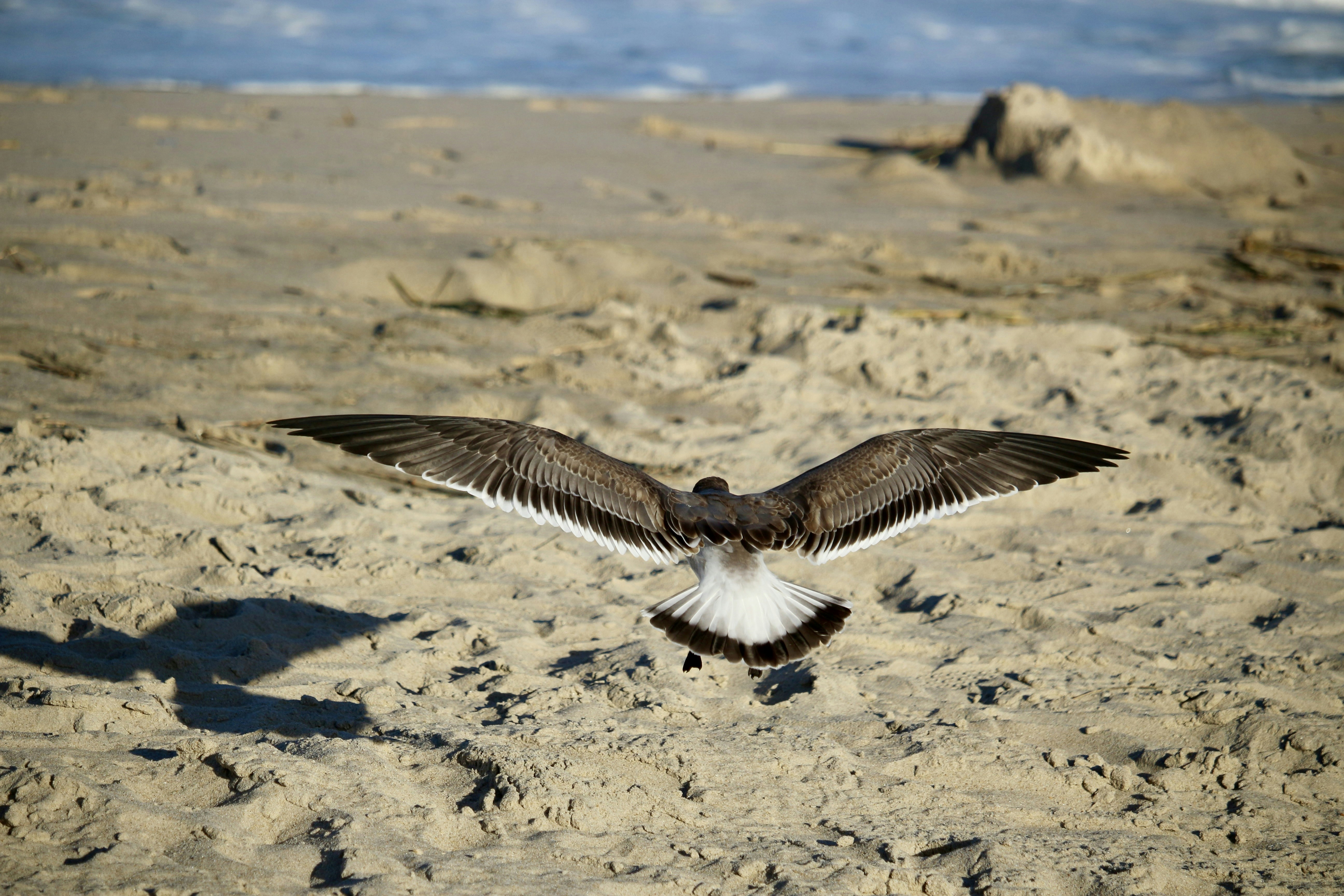 Photo by mgeyerphotography