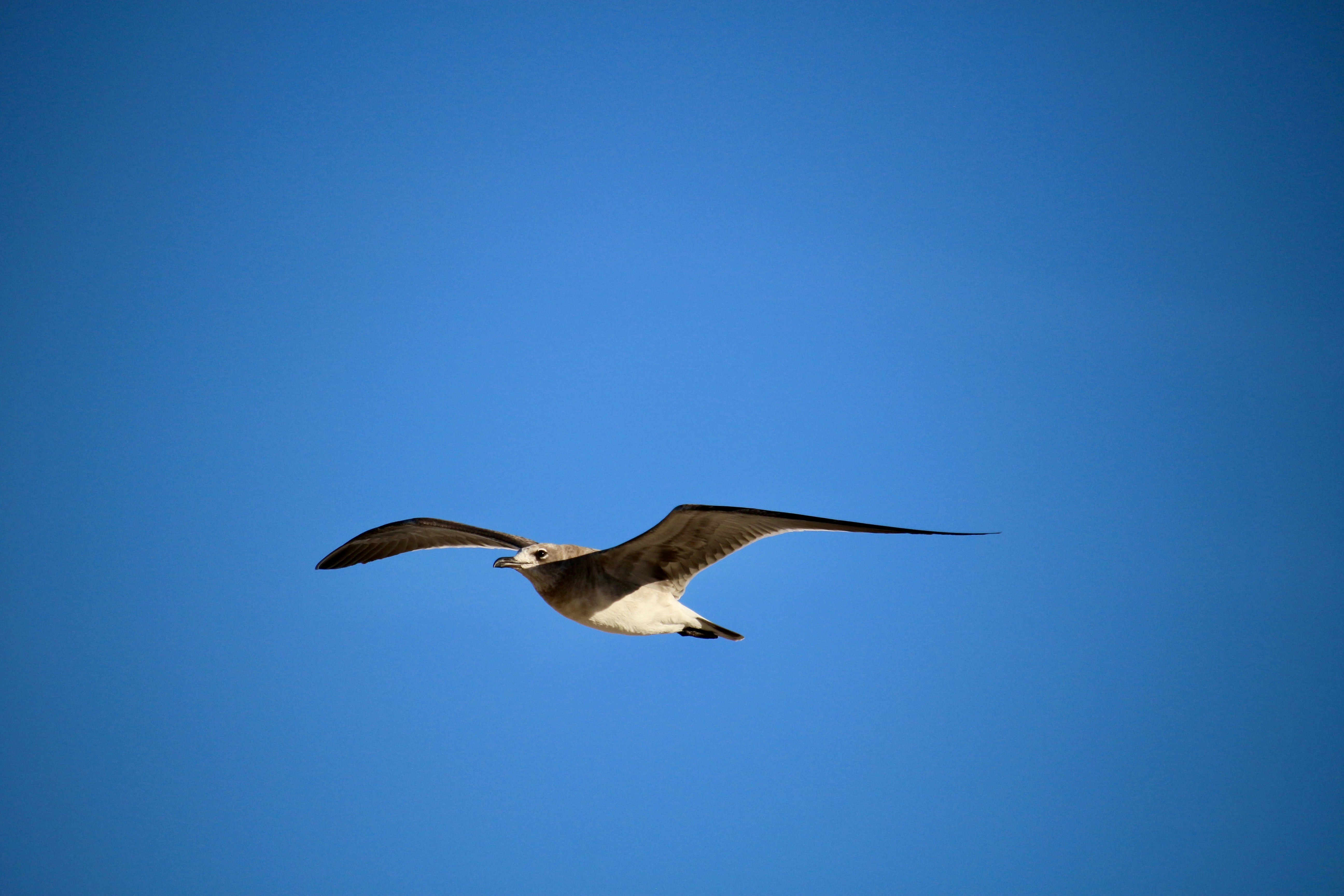 Photo by mgeyerphotography