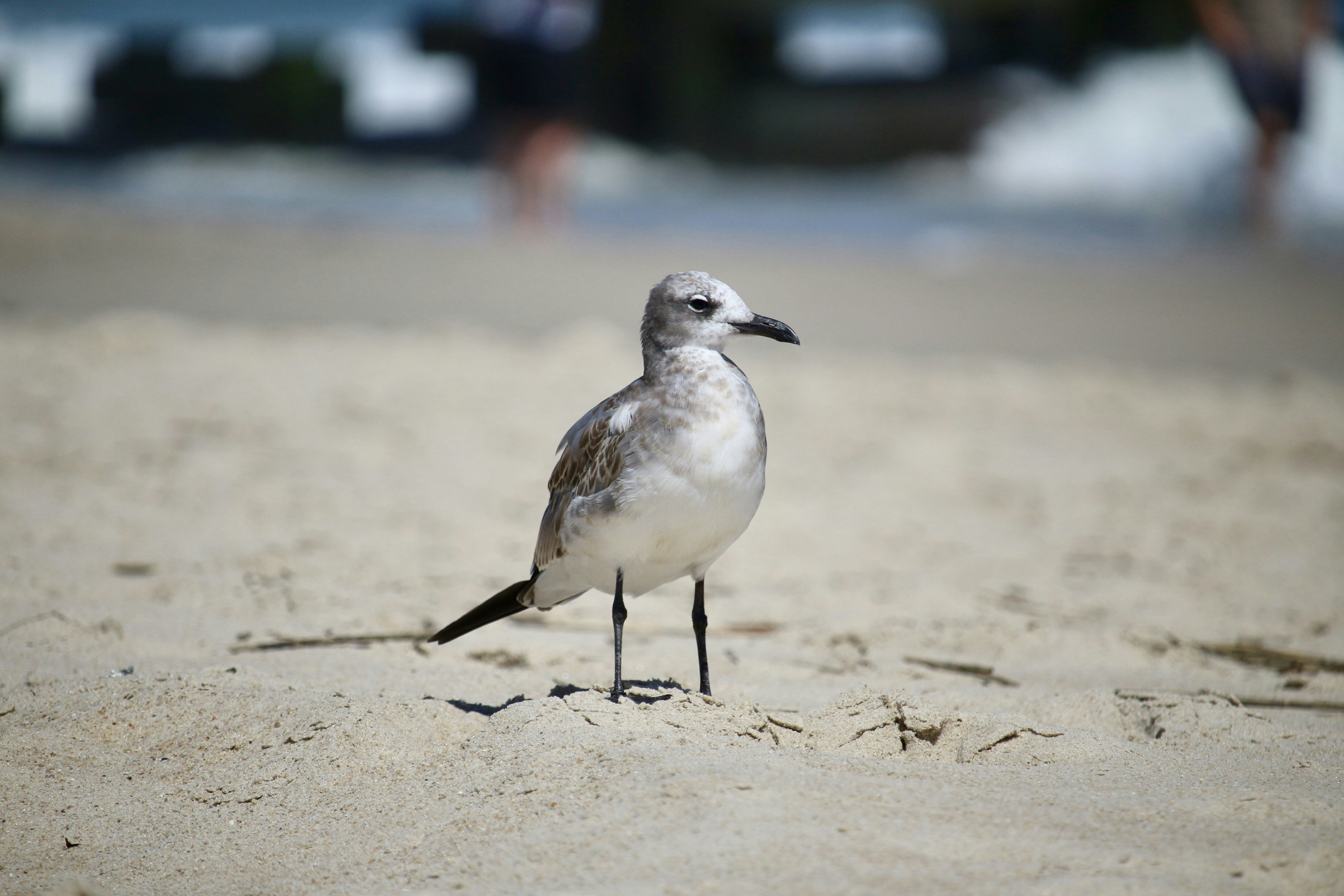 Photo by mgeyerphotography