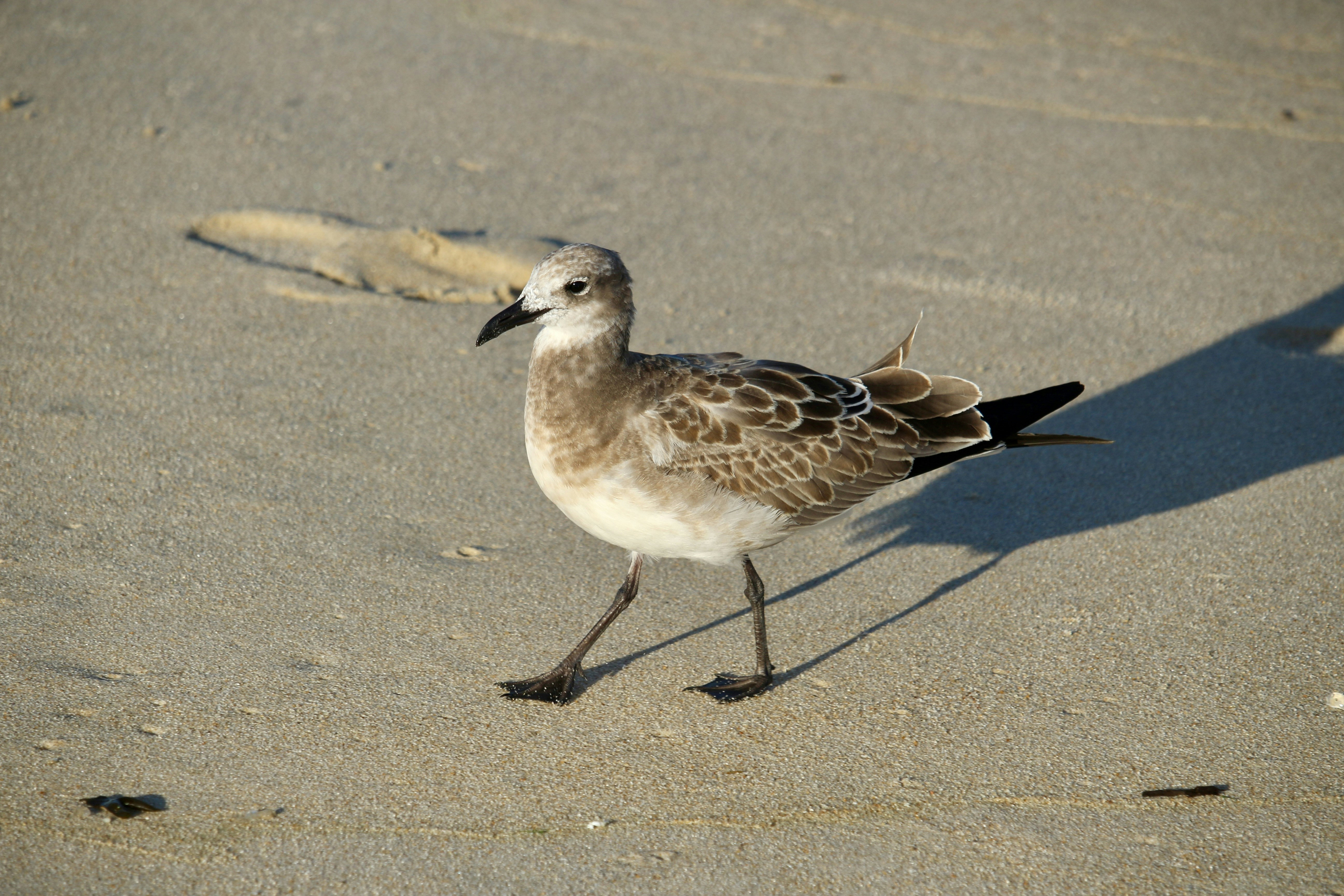 Photo by mgeyerphotography