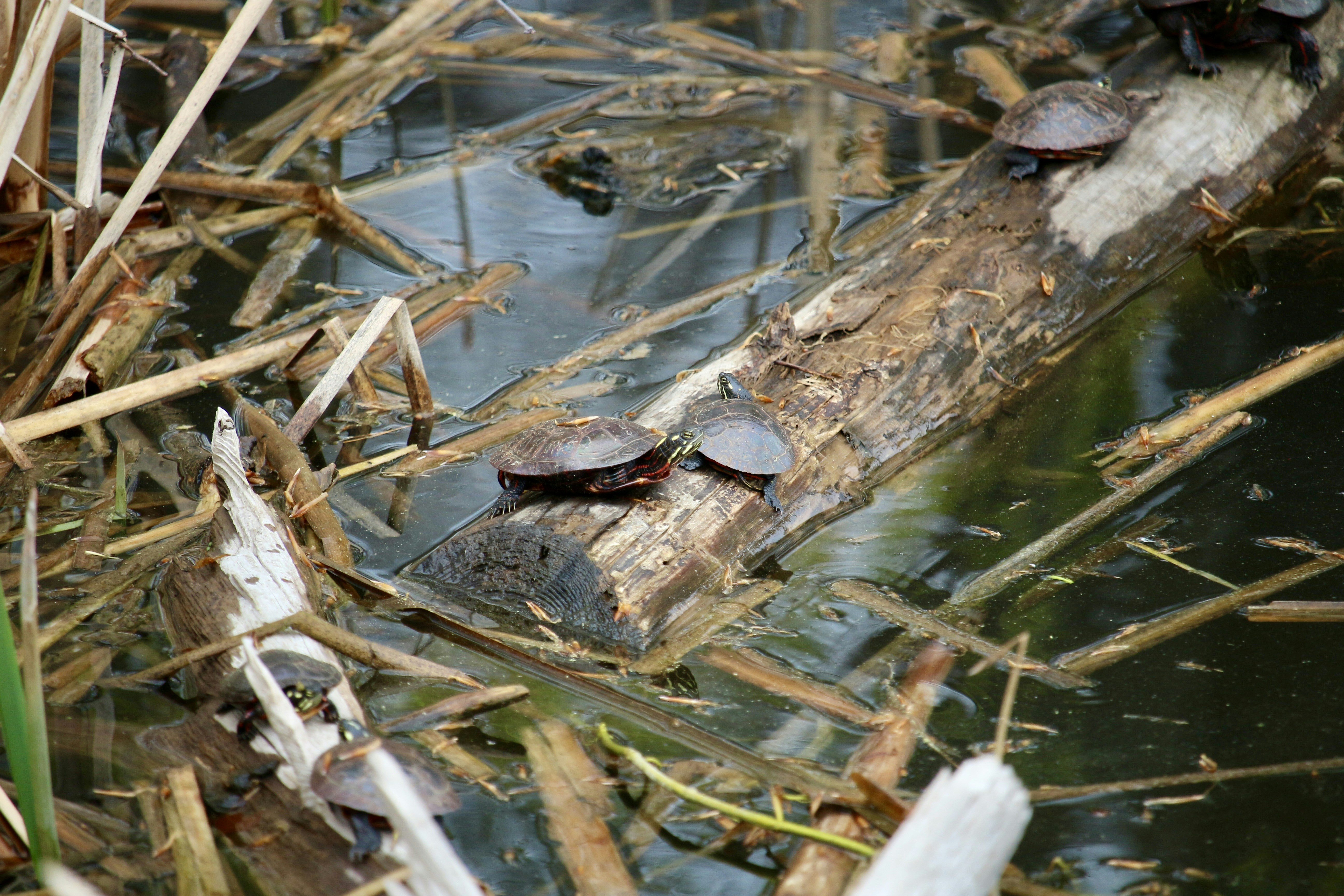 Photo by mgeyerphotography