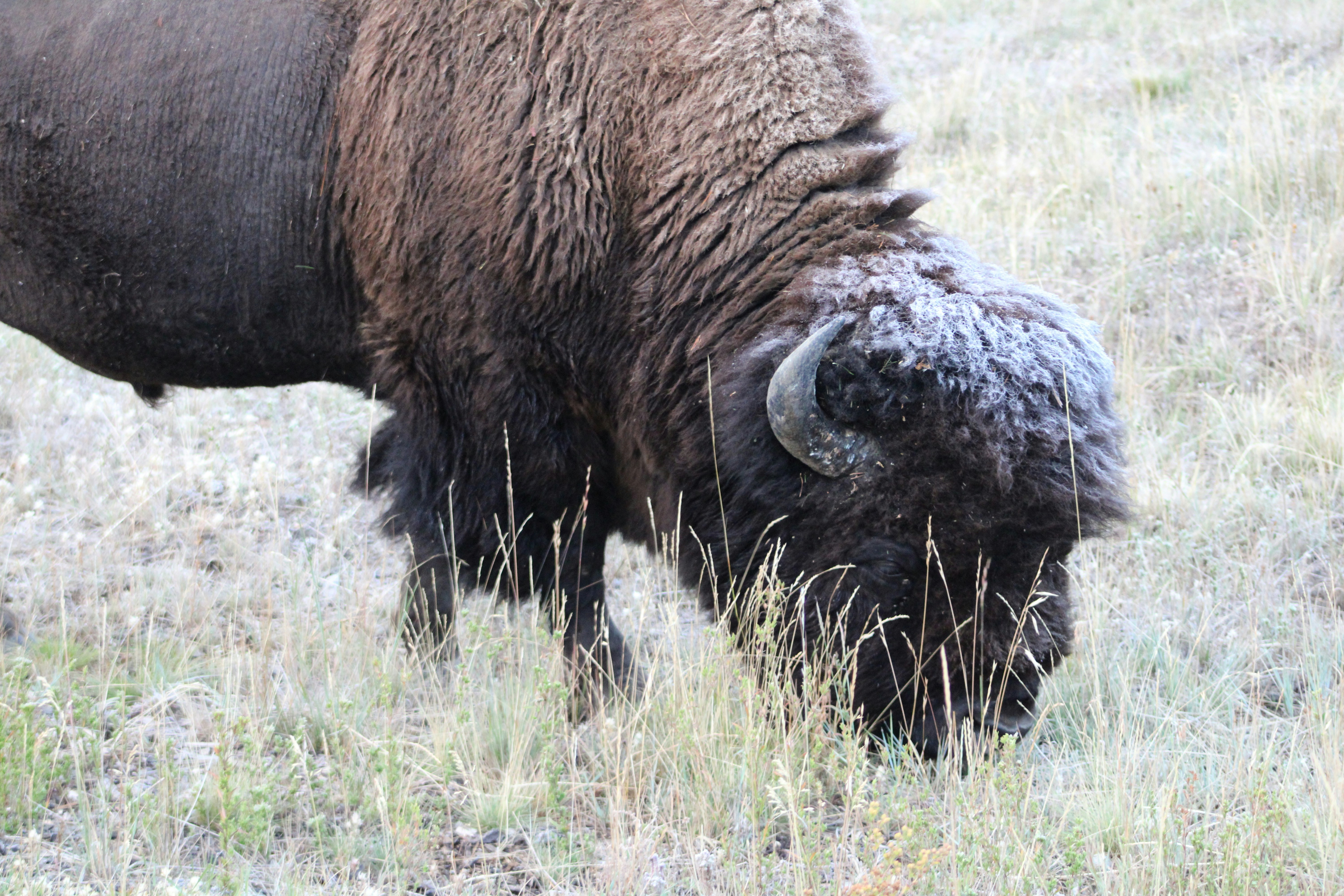 Photo by akshatadsule