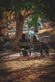 Couple sitting on park bench under autumn tree