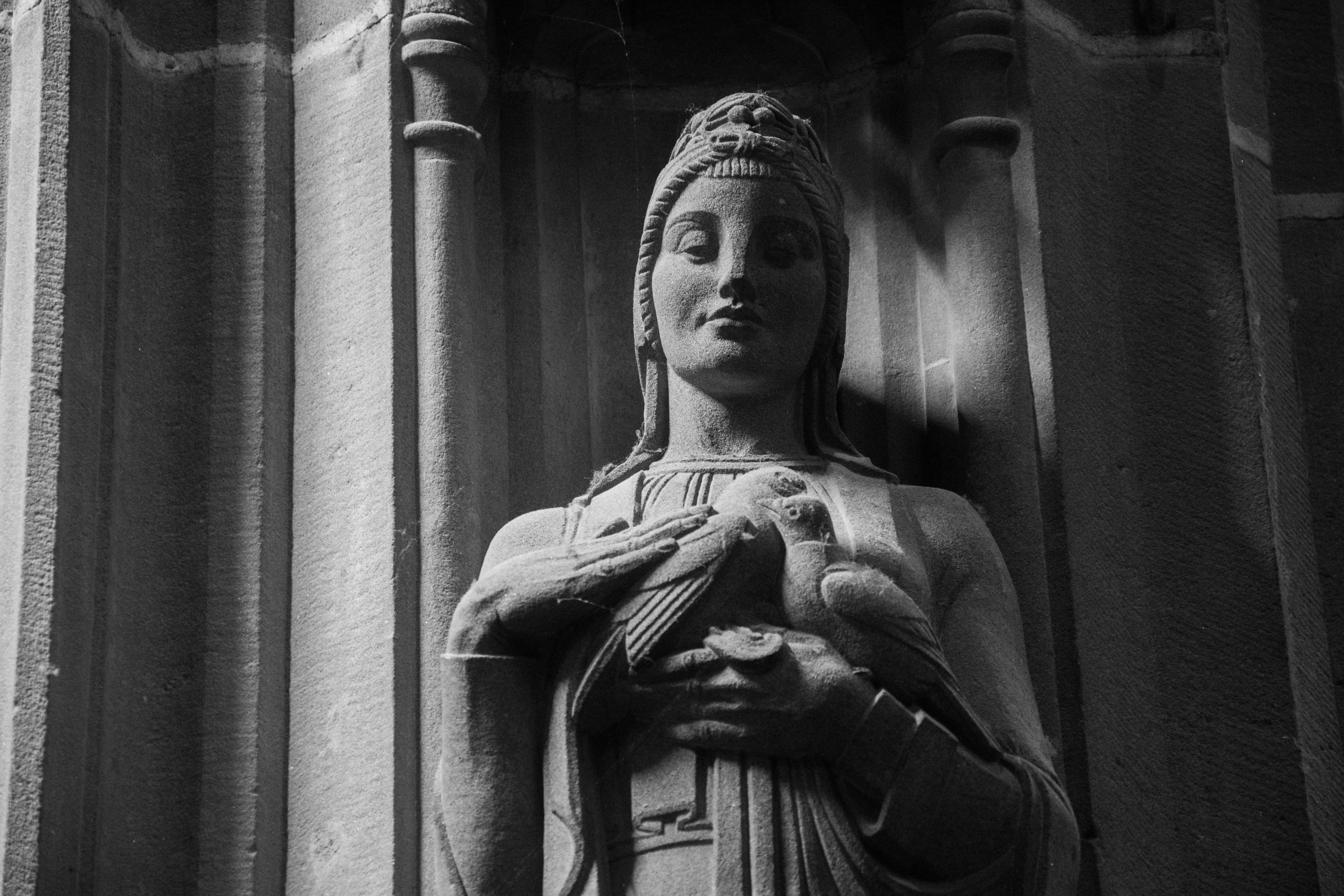 Photo by alexdavidphotos