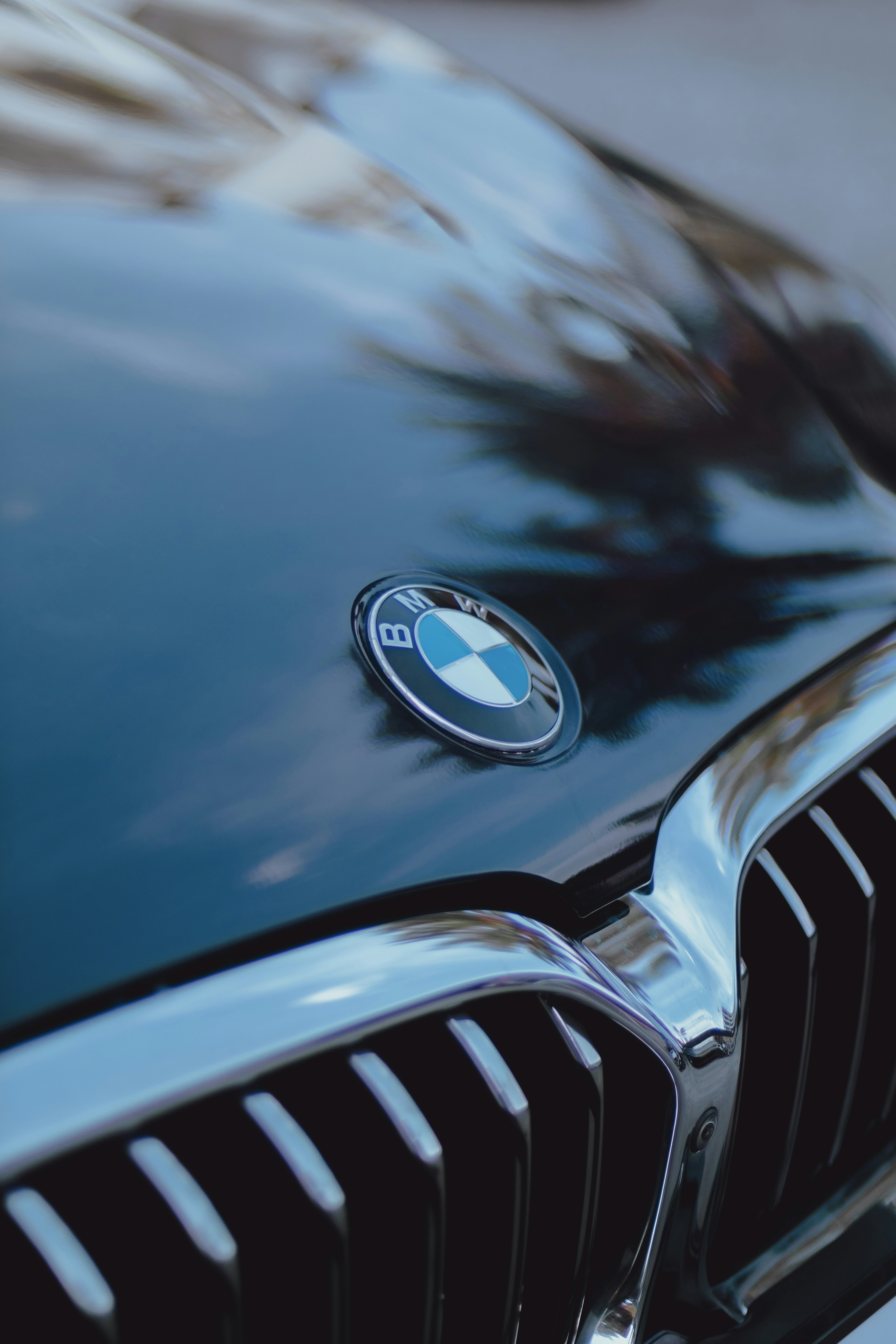 Photo by david_dintsh