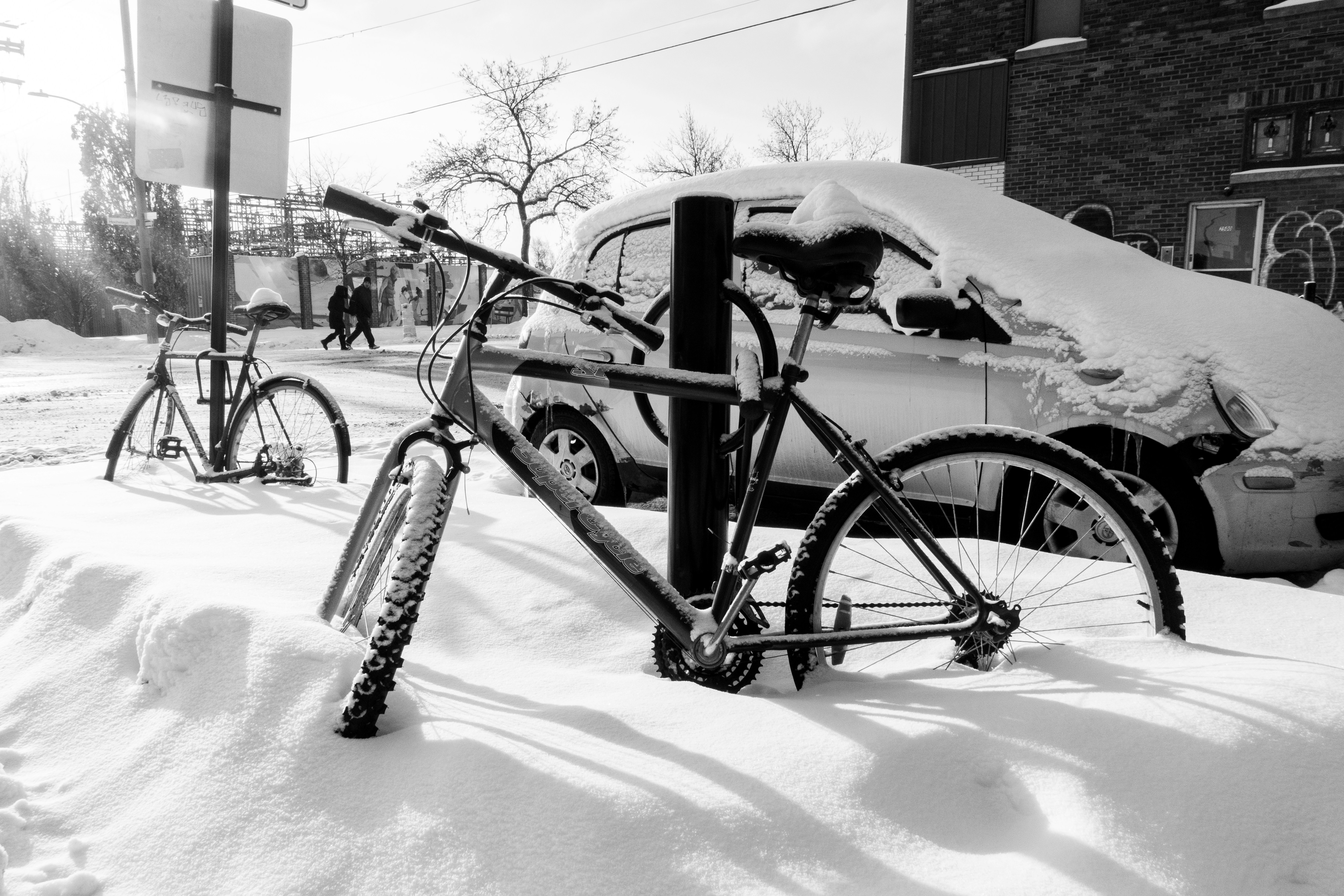 Photo by carlosgerardocelis