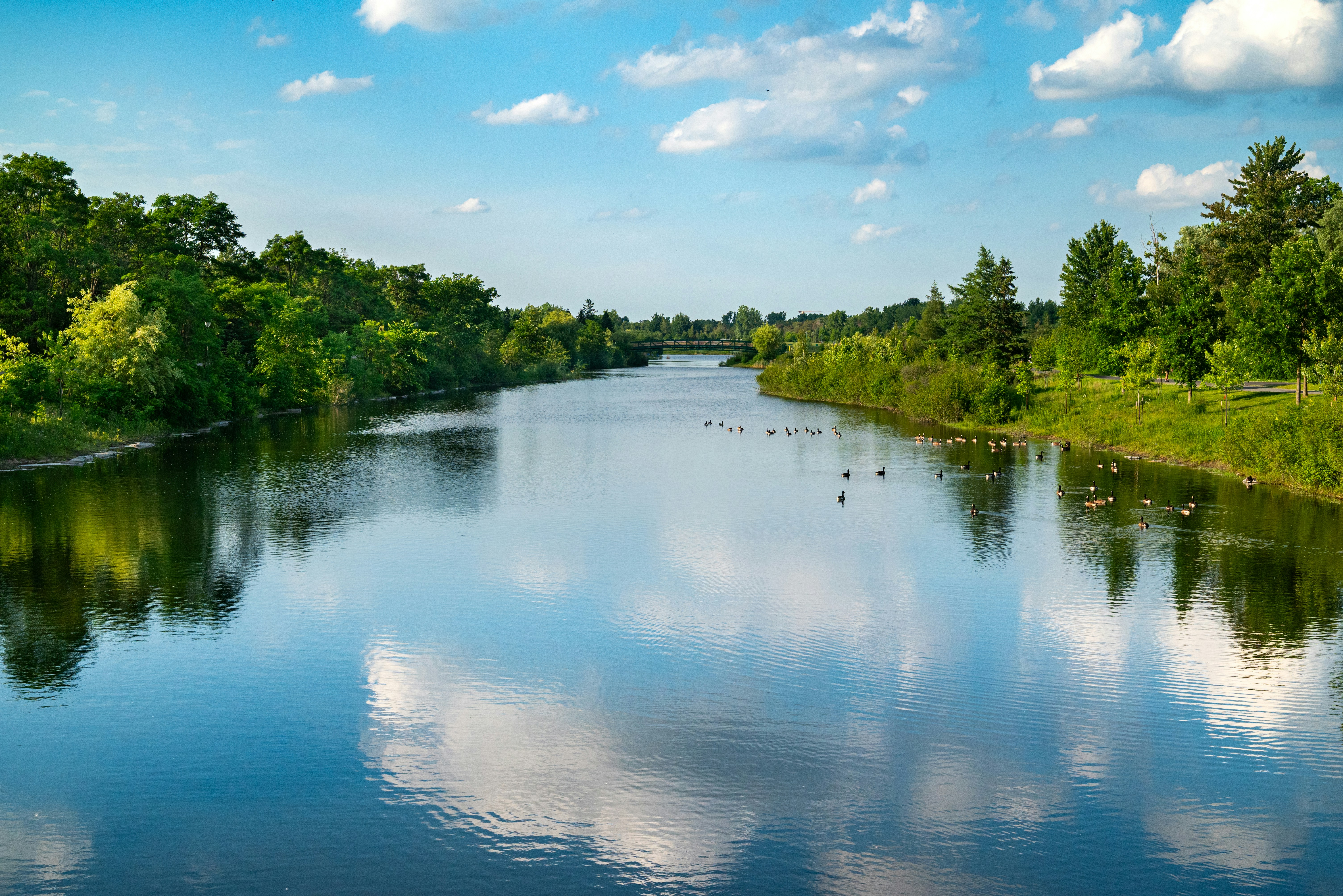 Photo by carlosgerardocelis