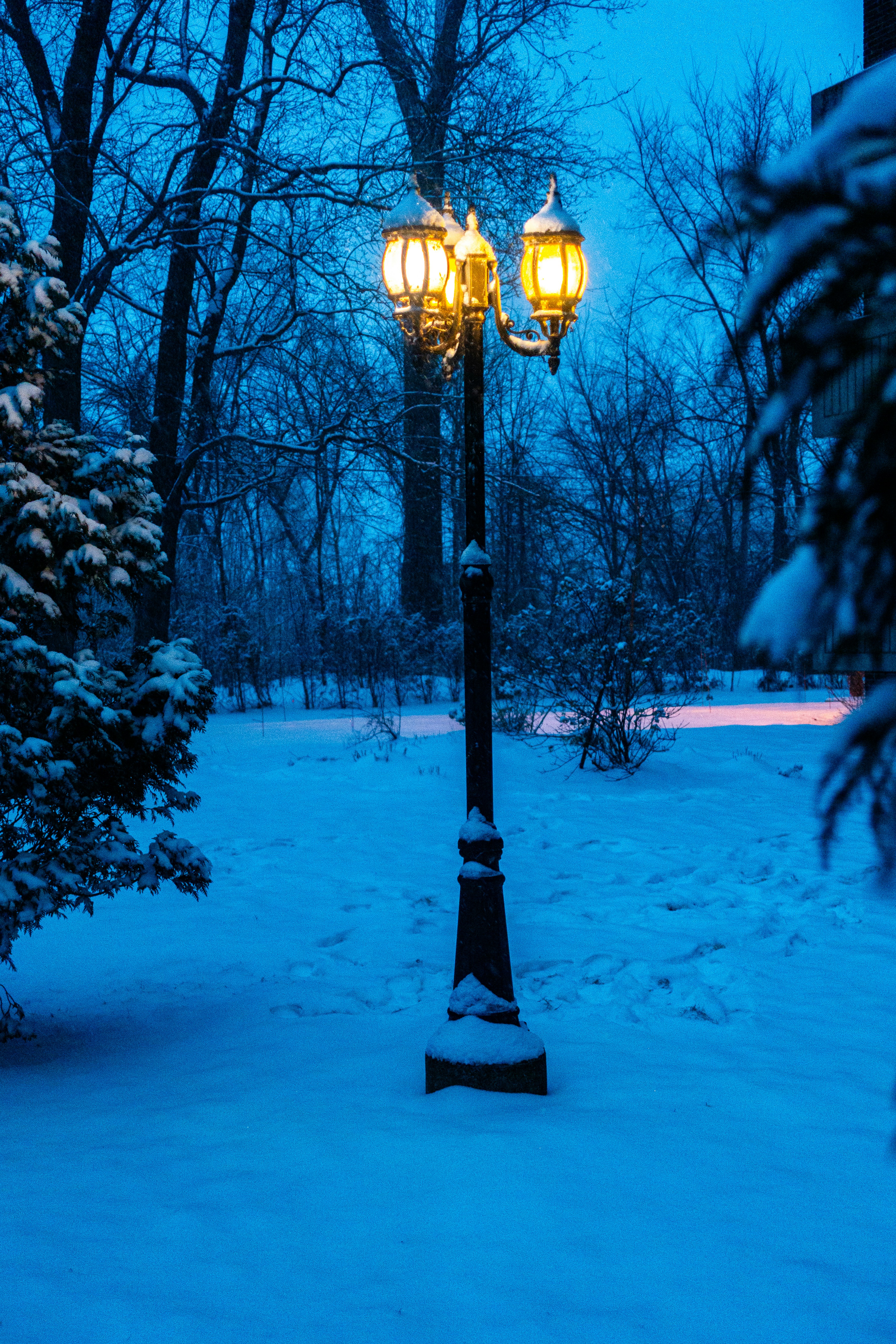 Photo by carlosgerardocelis