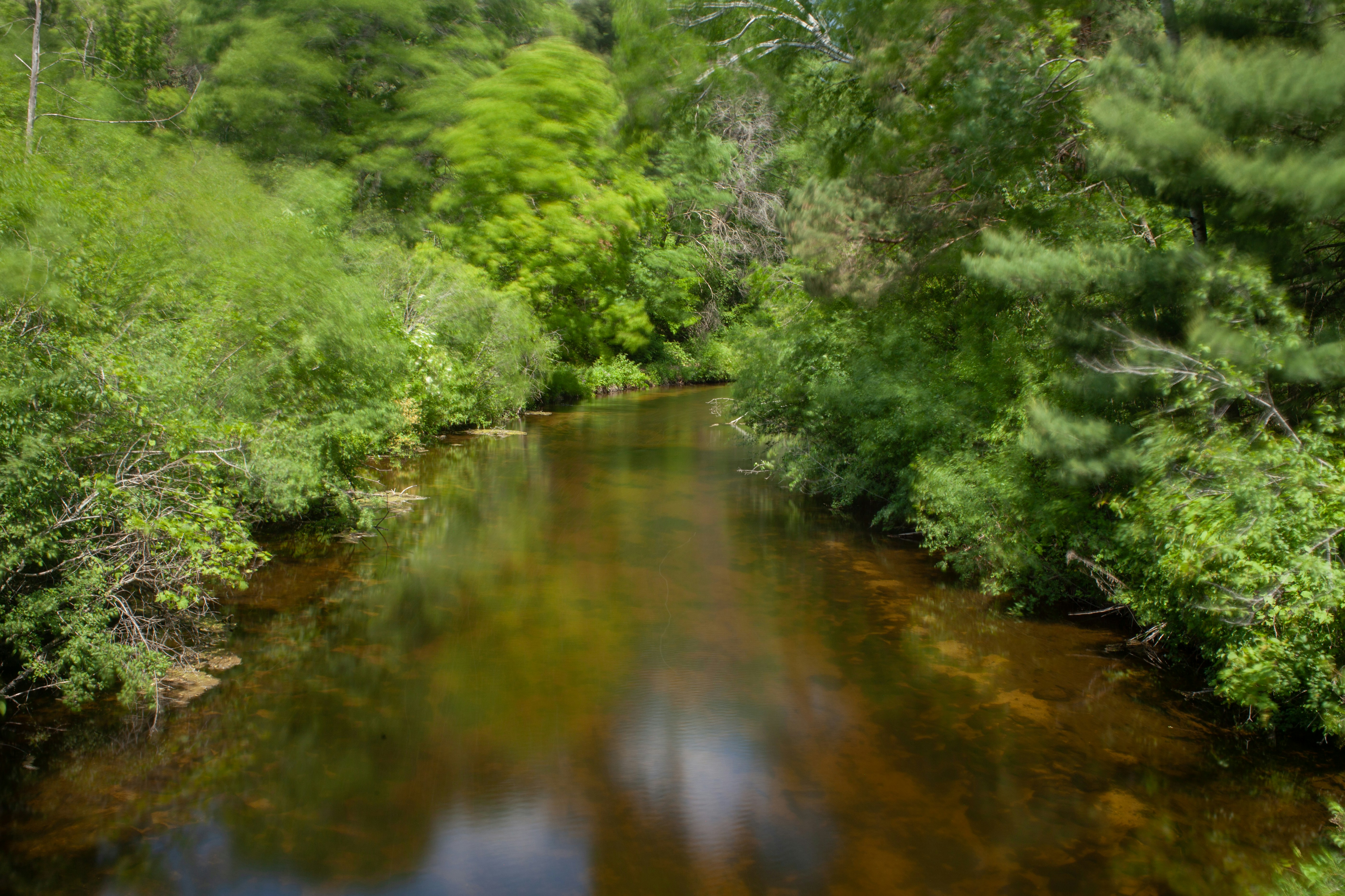 Photo by chrislittlestudio