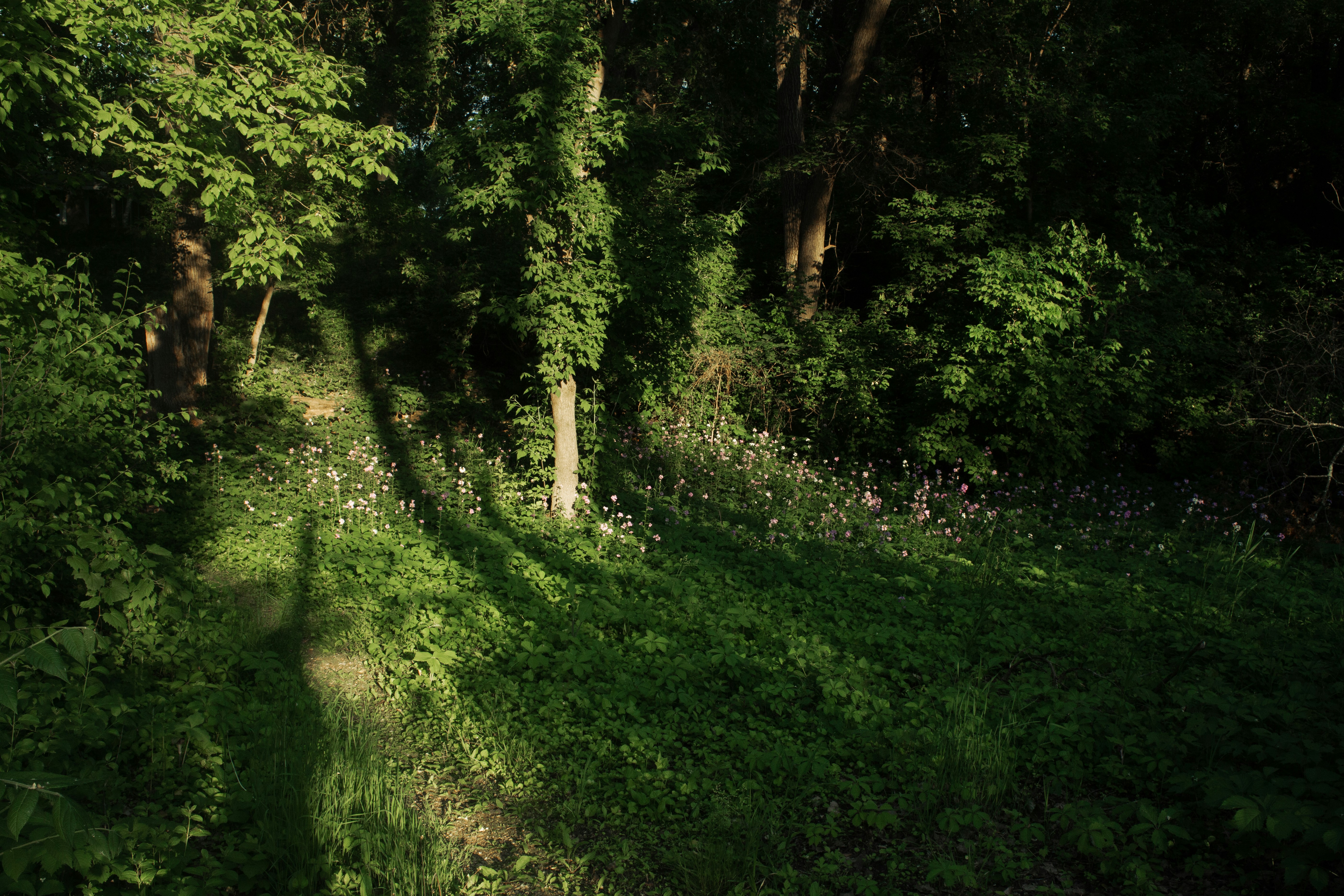 Photo by chrislittlestudio