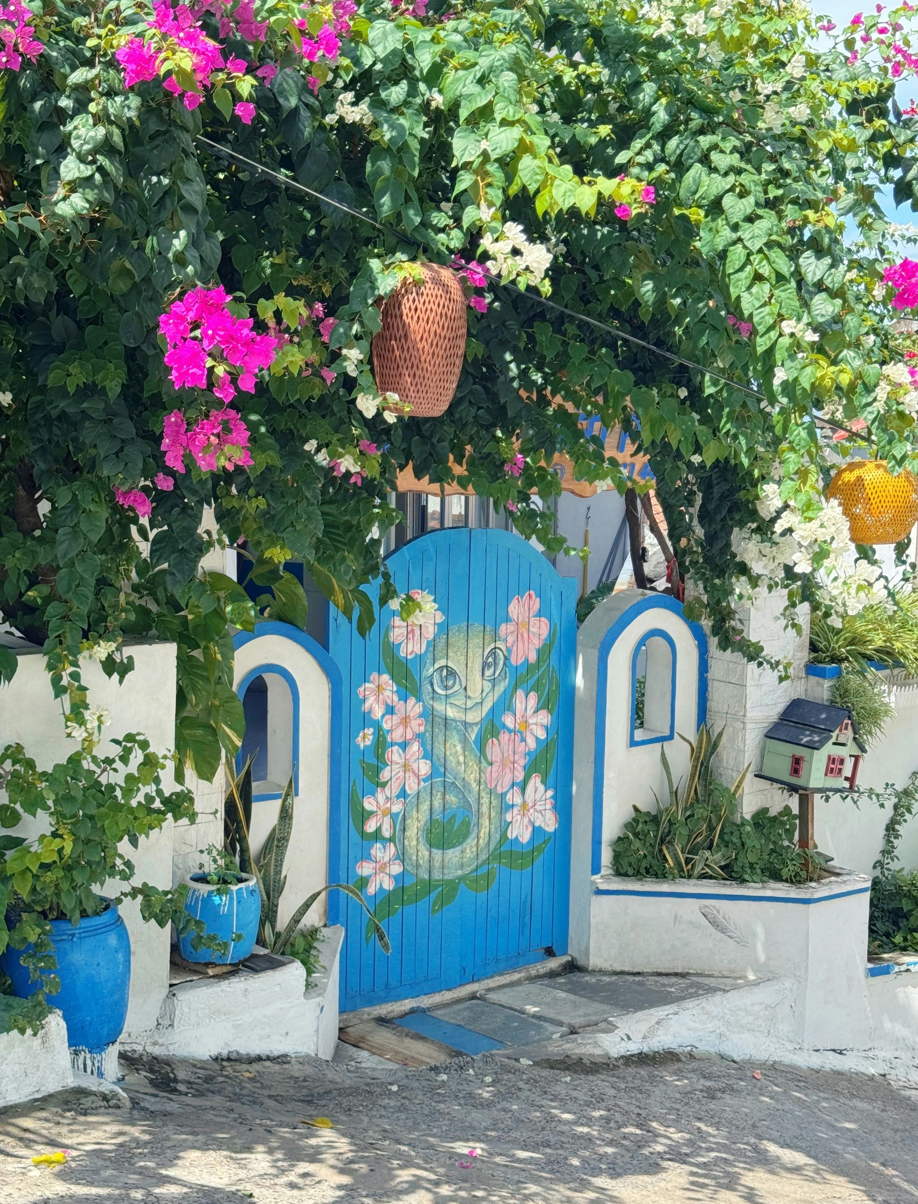 Photo by vanquynhgiang