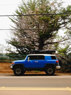 Blue suv parked beside a large tree